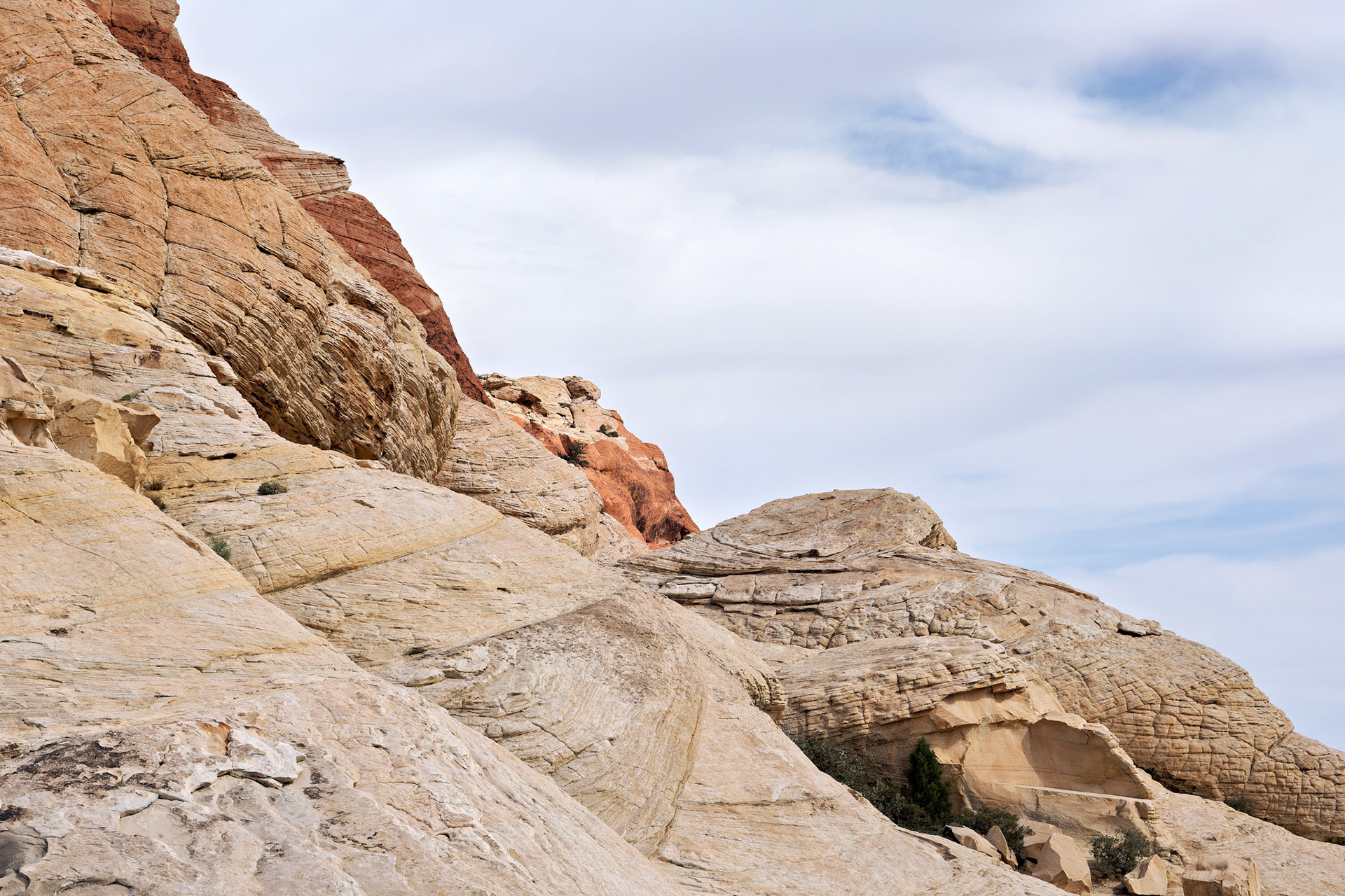 NV_Deserts_20120312_0073_PS.tif