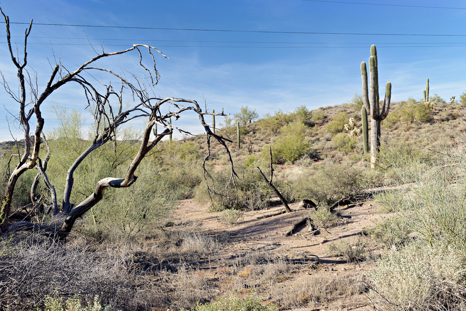 AZ_20121209_0345_PS.dng