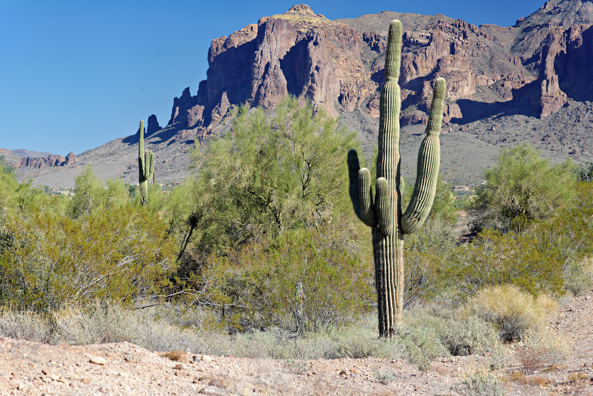 AZ_20121209_0295_PS