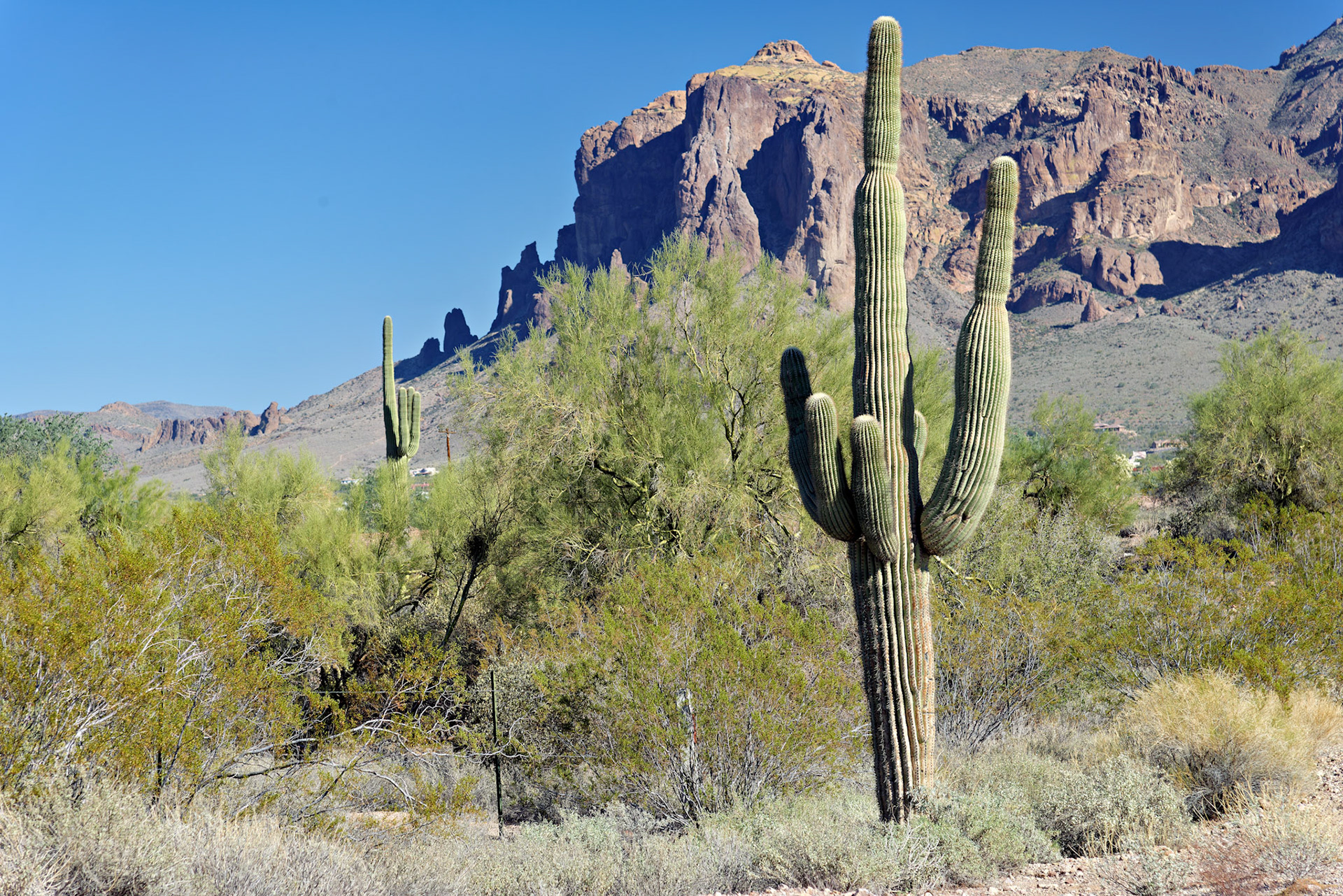 AZ_20121209_0290_PS