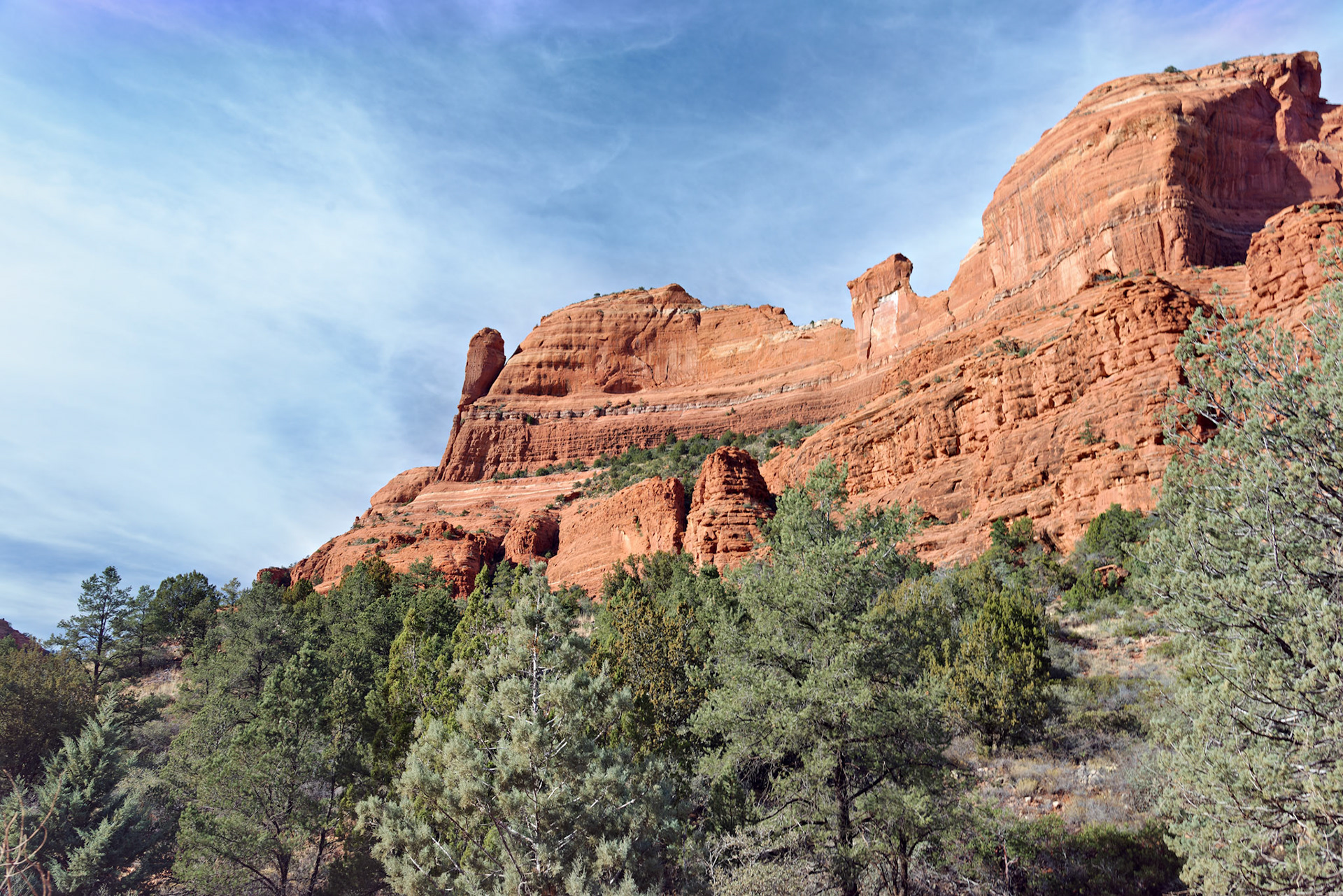 AZ_20121211_0497_PS