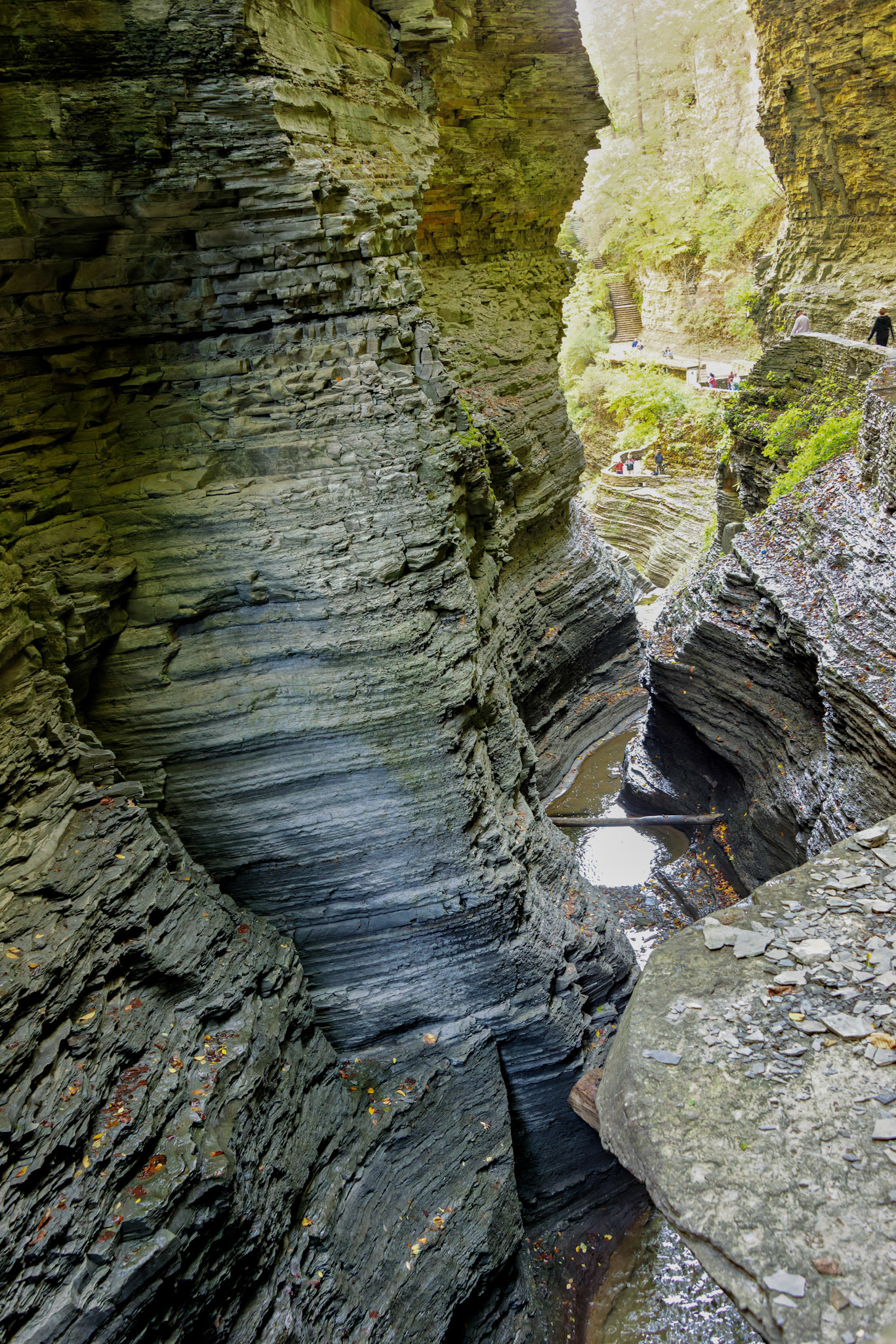 NY_FingerLakes_20120927_0110_PS