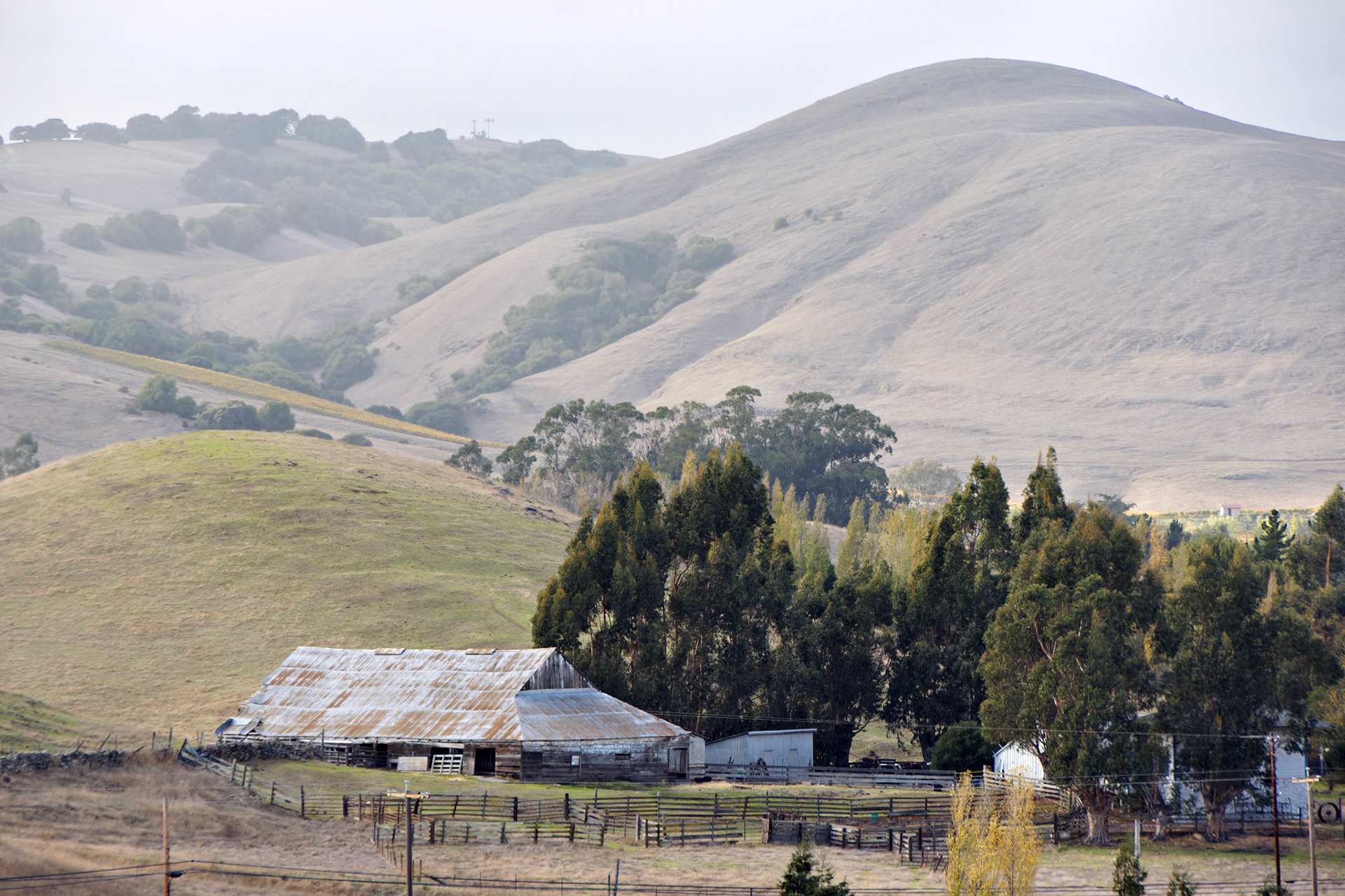 CA_SanFran_20071018_0140_PS
