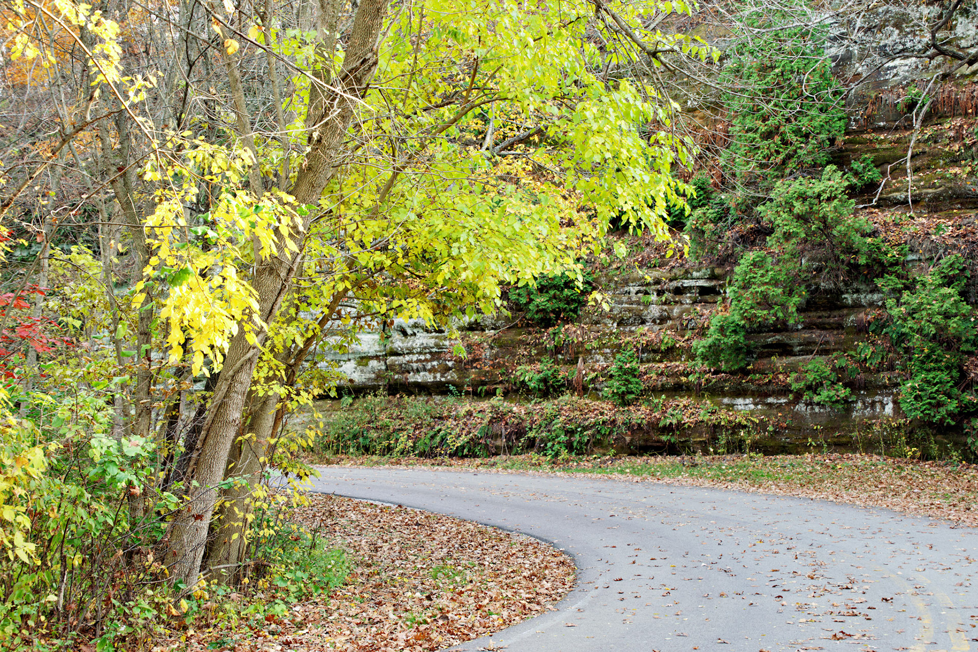 IL_Starved Rock_20141027_0092_PS
