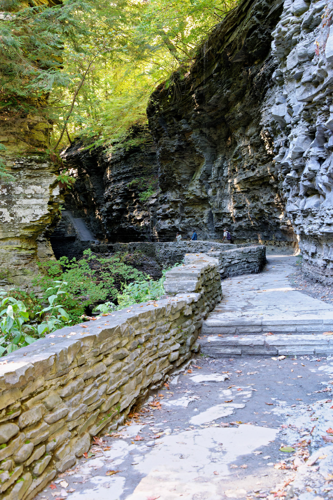 NY_FingerLakes_20120927_0198_PS