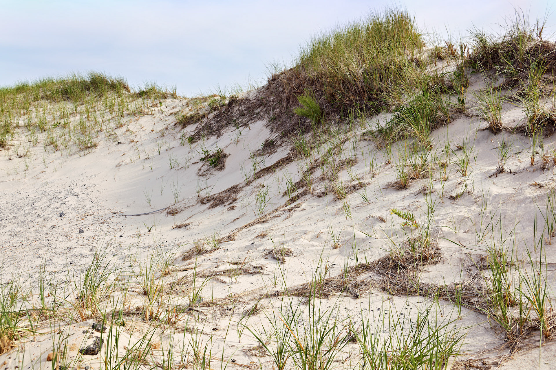 MA_CapeCod_20150717_0223_PS