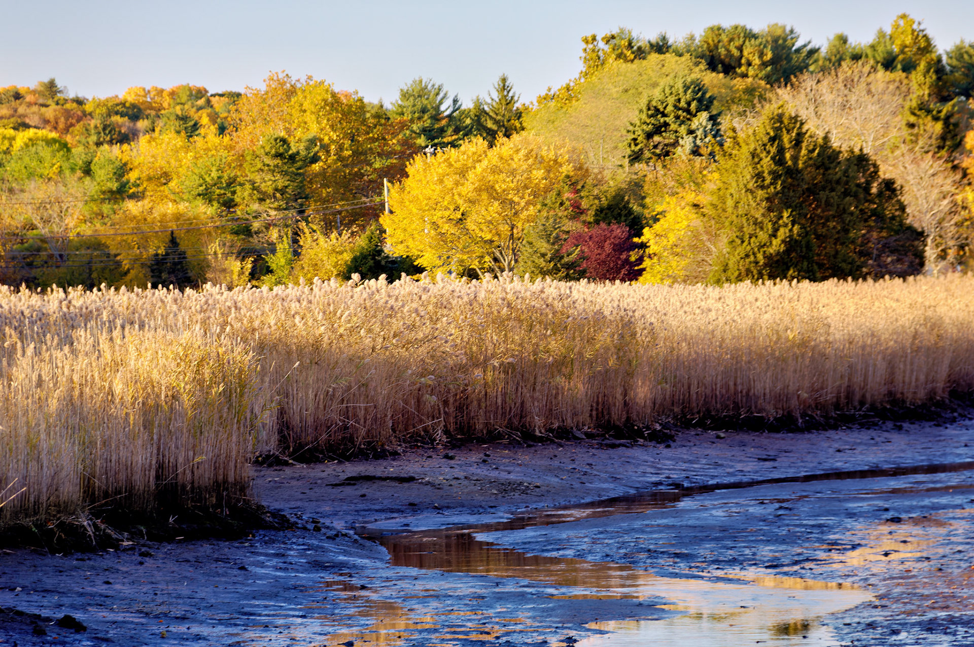 CT_20051102_0060_PS