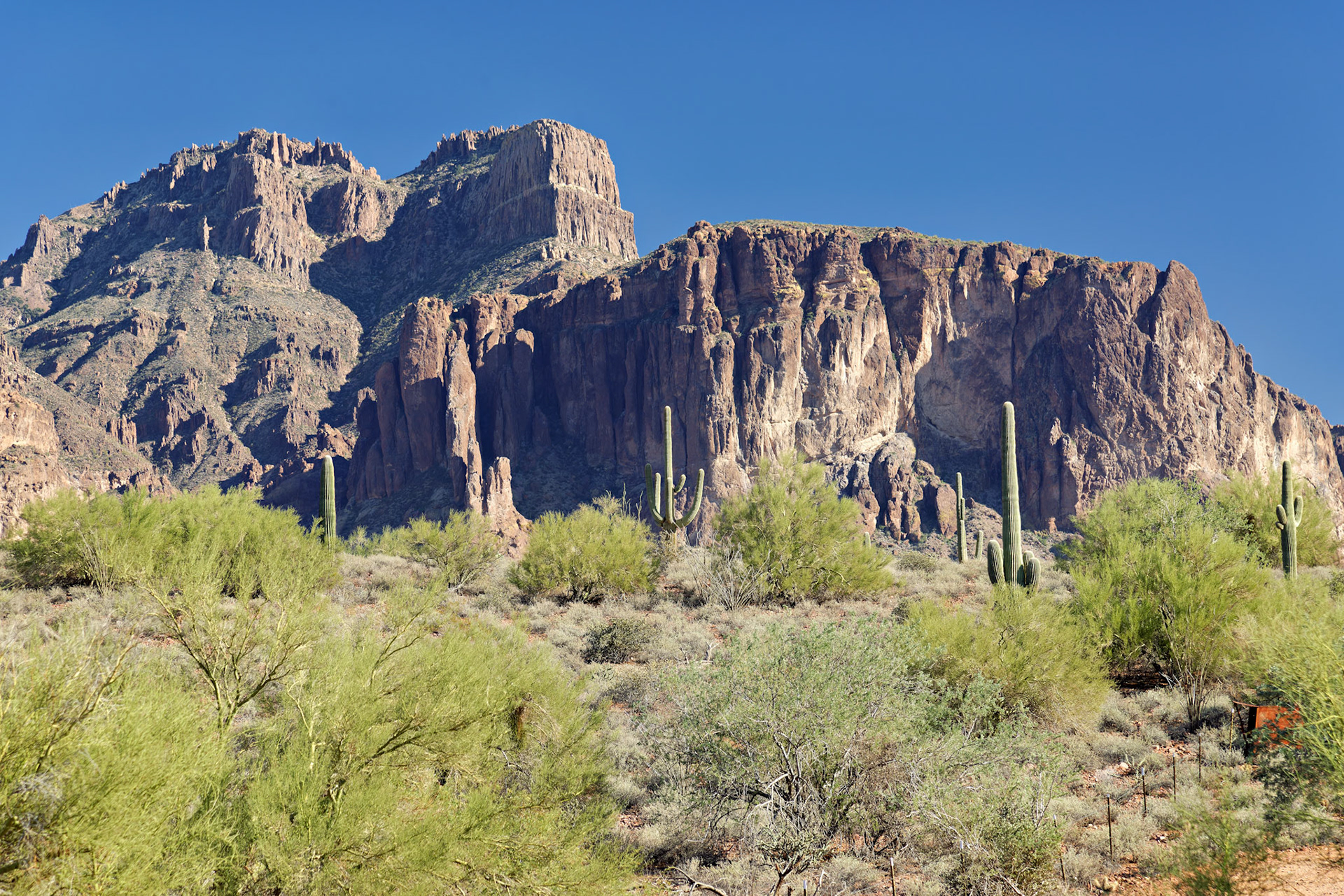AZ_20121209_0324_PS.dng