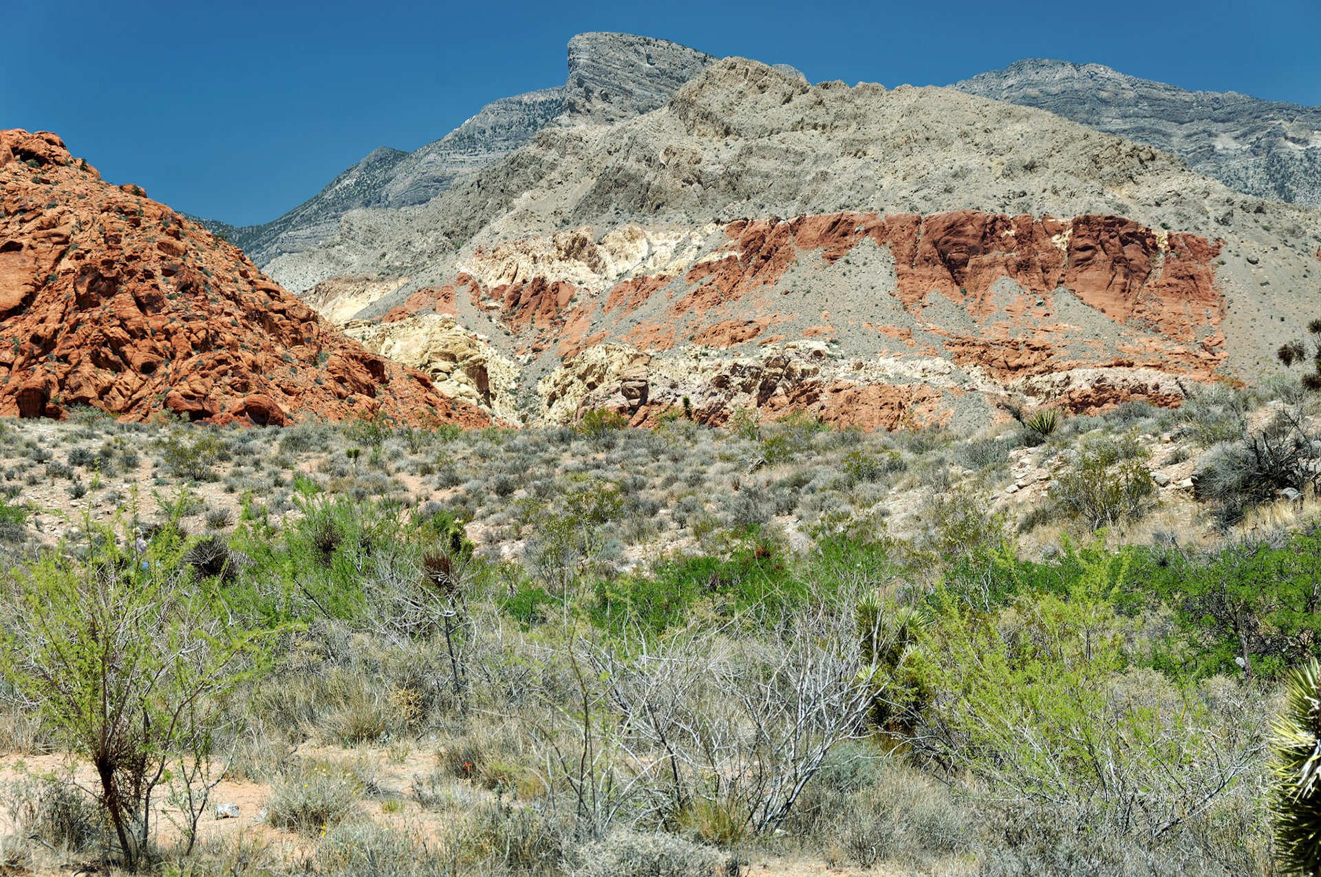 NV_20070531_0095_PS