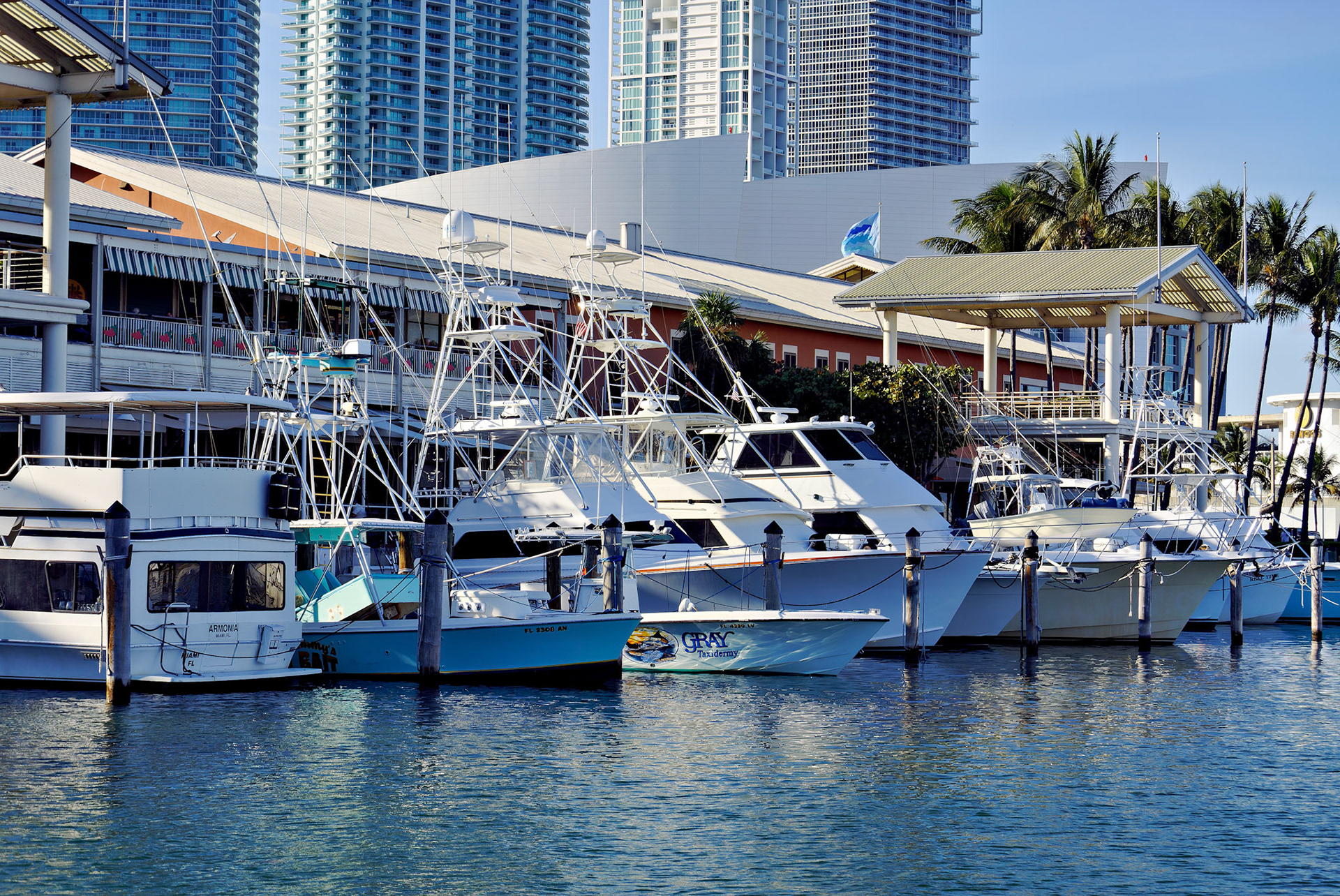 FL_Miami_20120215_0144_PS