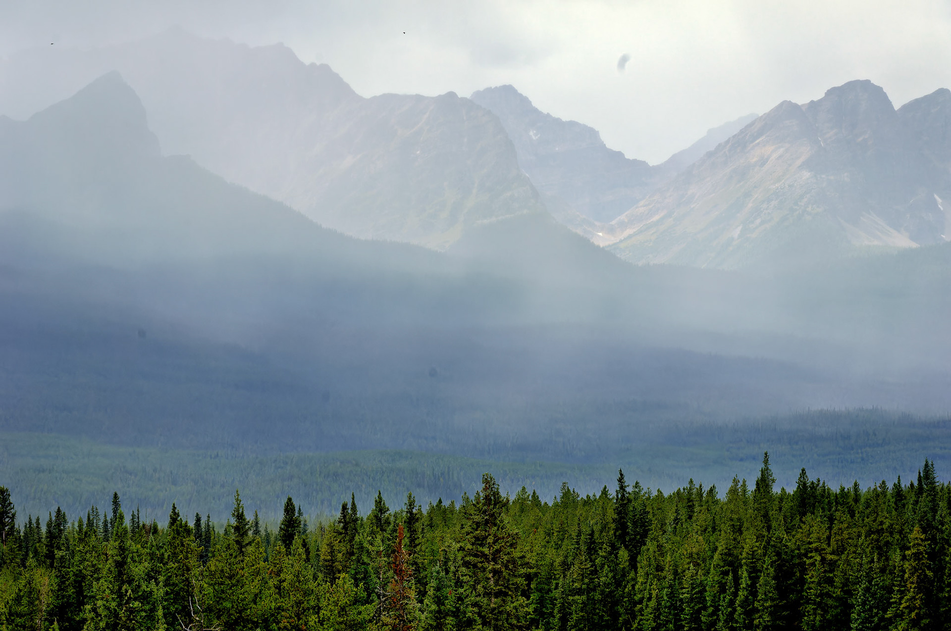 CN_20060803_0606_PS