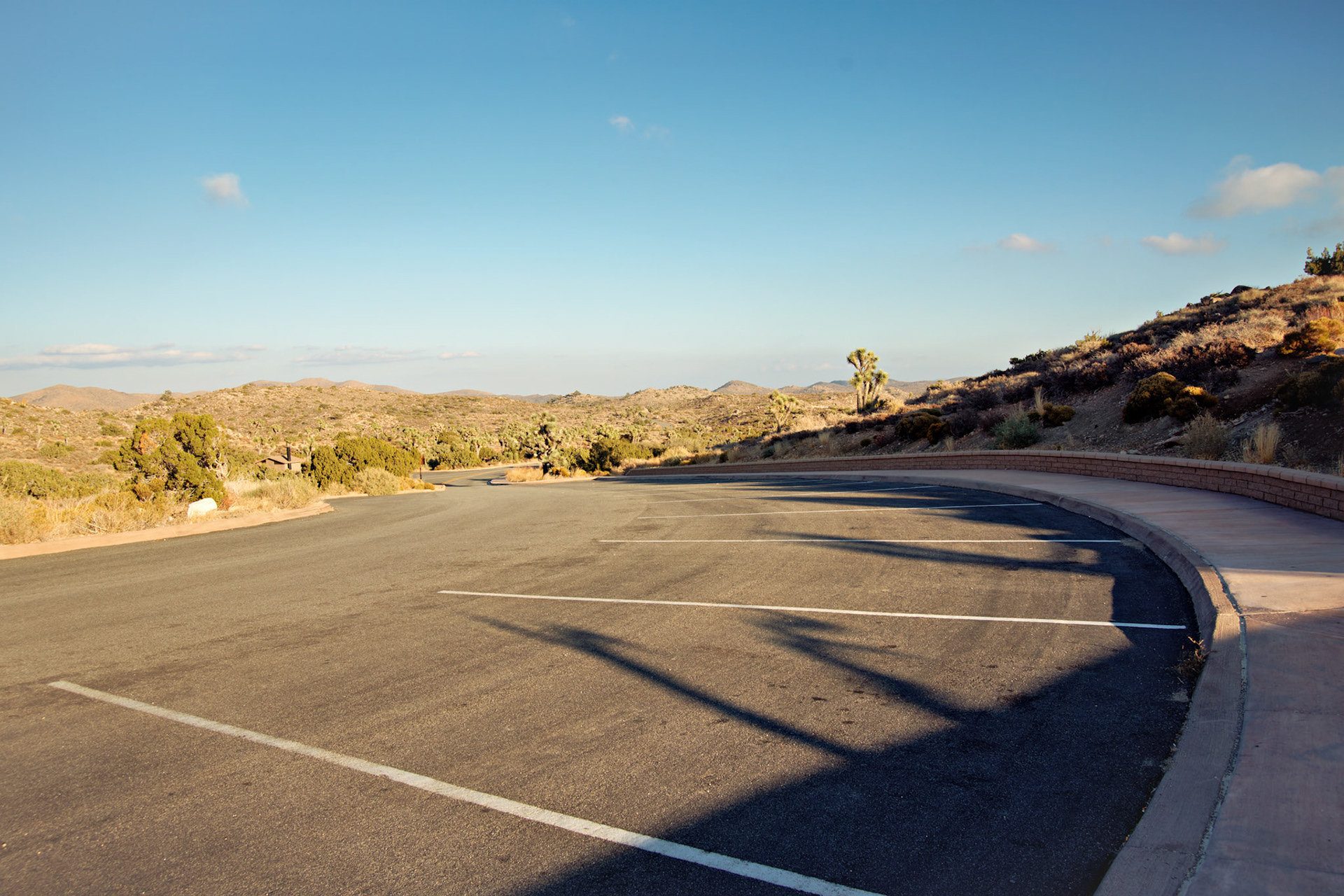 CA_JoshuaTree_20111114_0268_PS