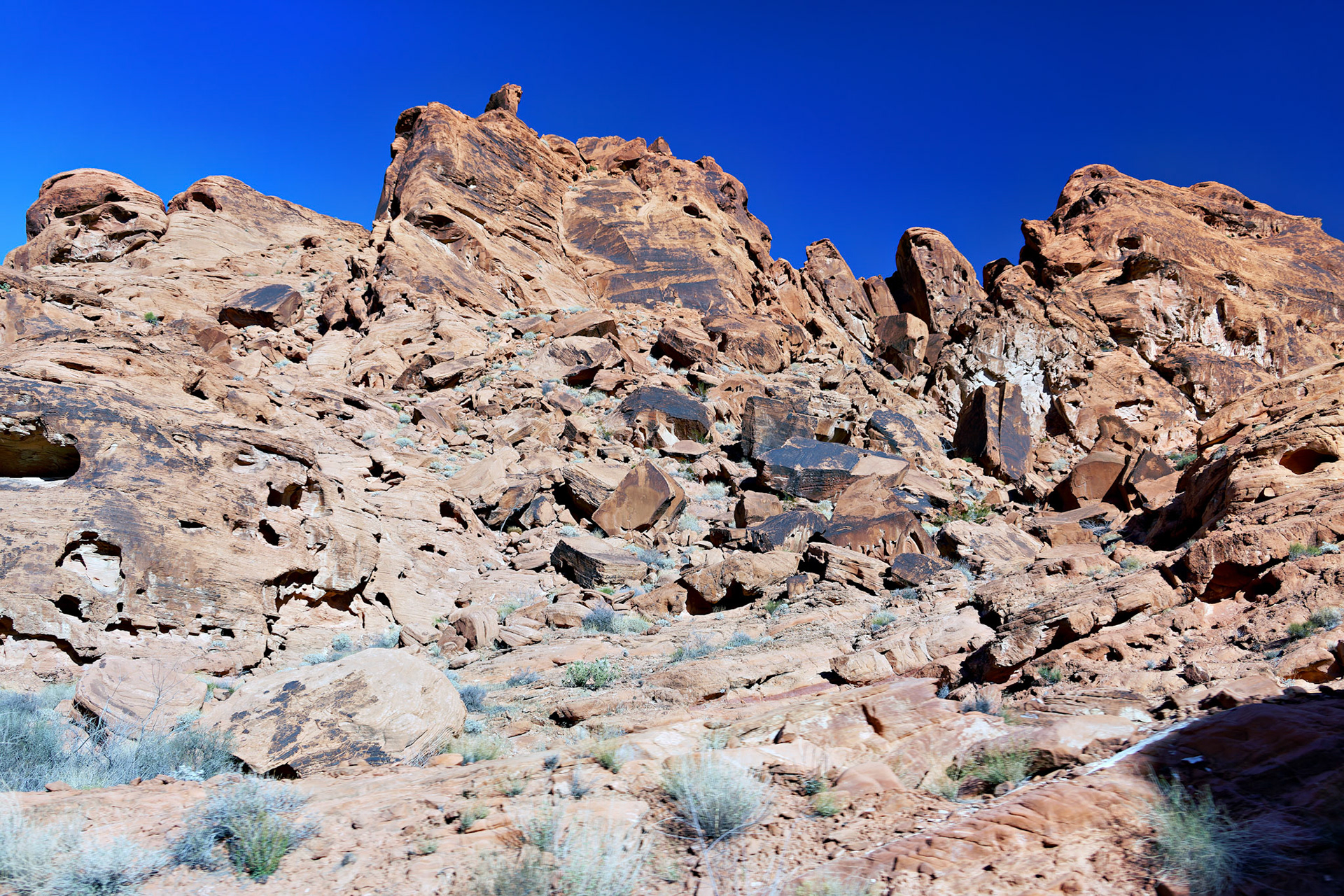 NV_Deserts_20120313_0194_PS