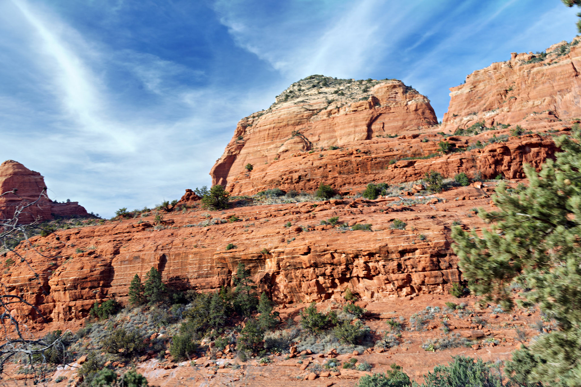 AZ_20121211_0503_PS.dng