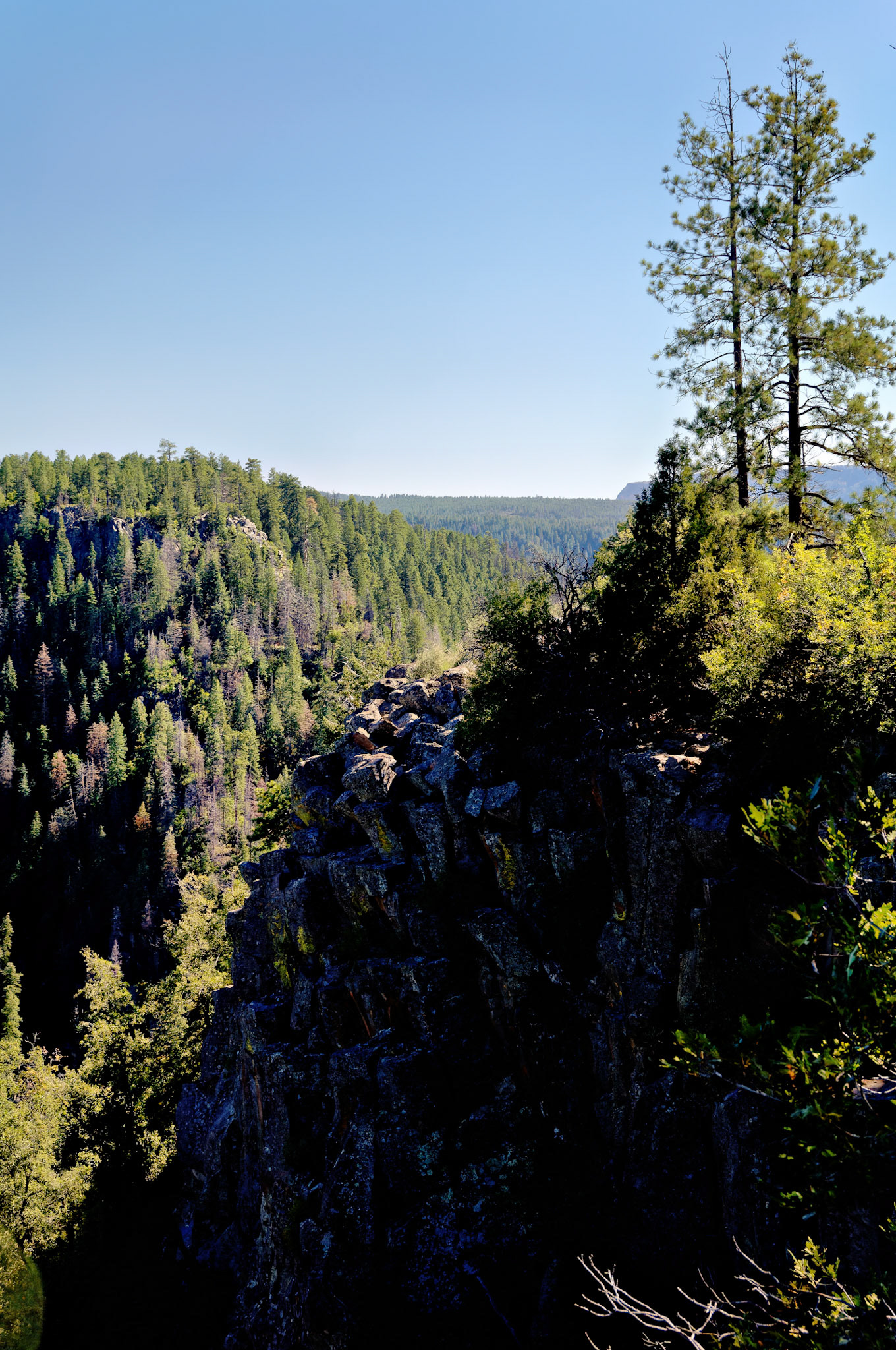 AZ_20060918_0157_PS.dng