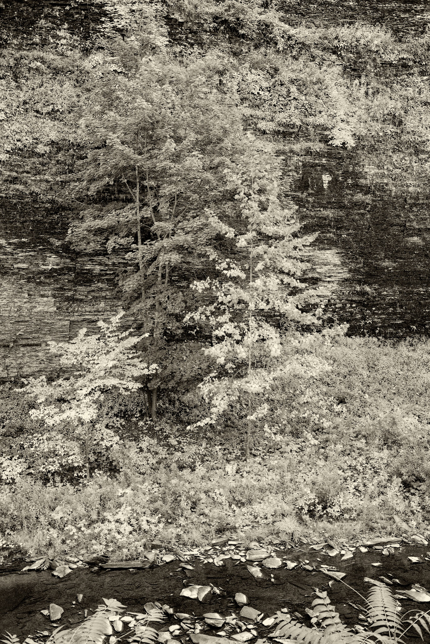 BW__JMF2105-Edit