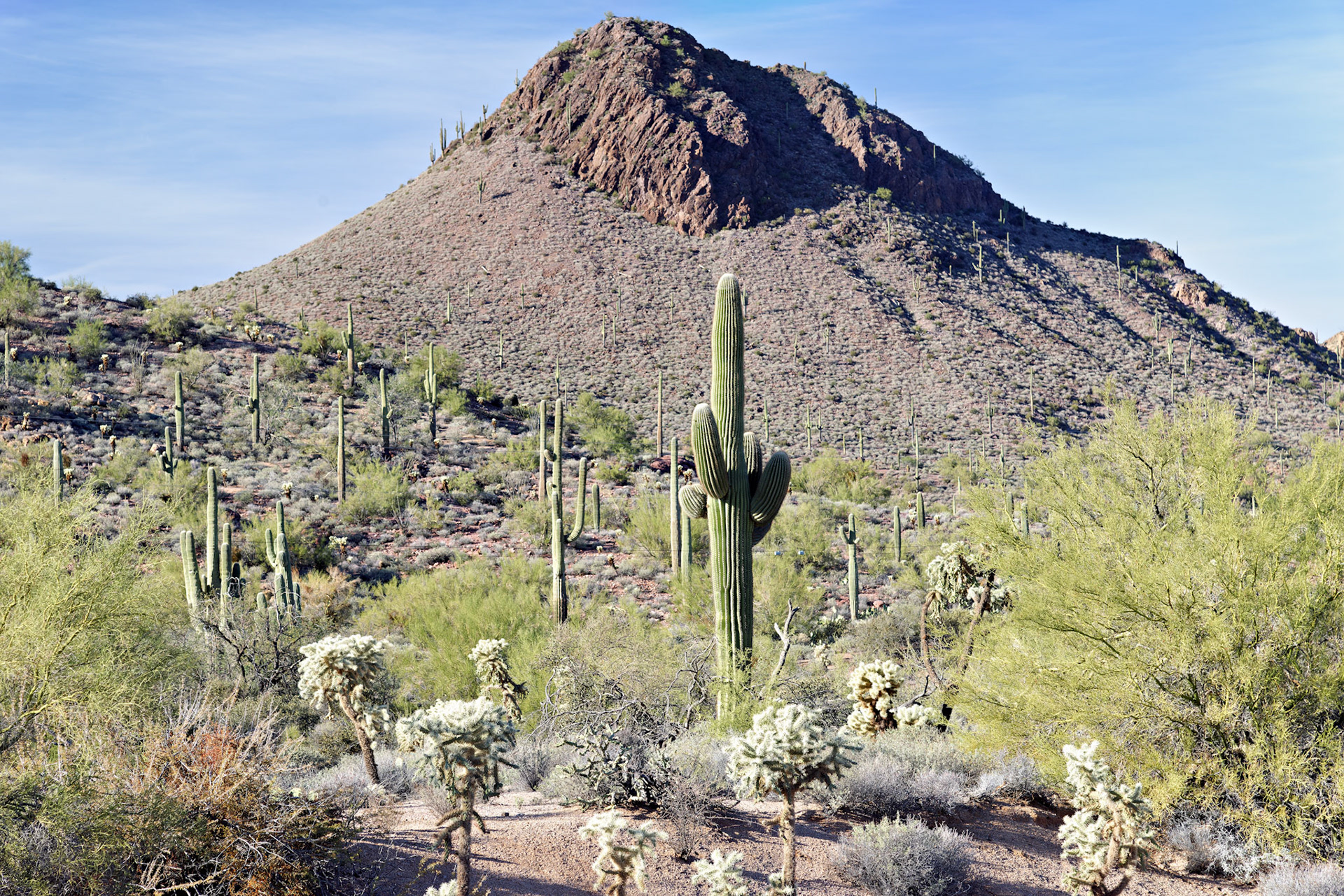 AZ_20121209_0349_PS.dng