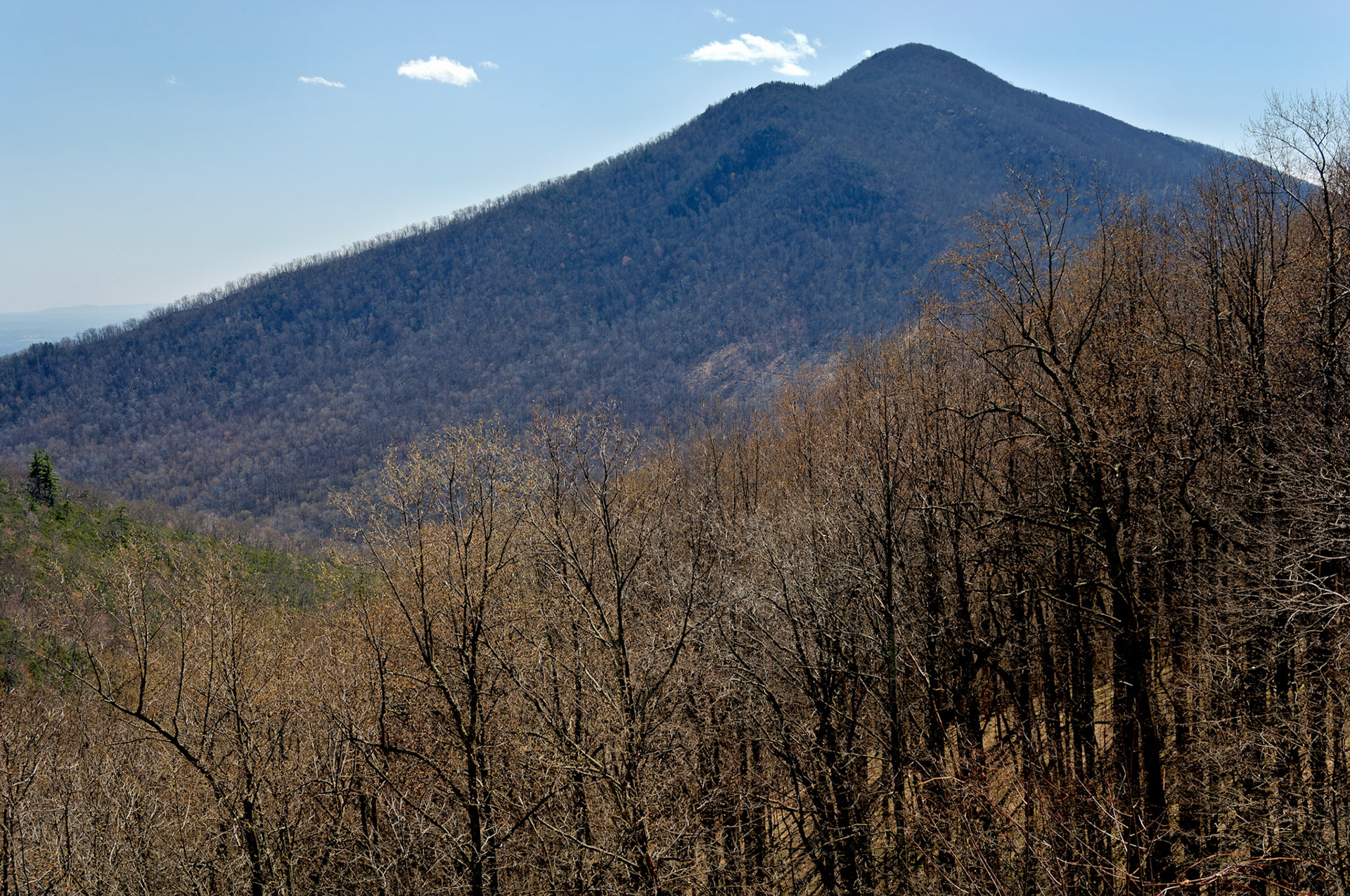 VA_BlueRidge_20060405_0104_PS