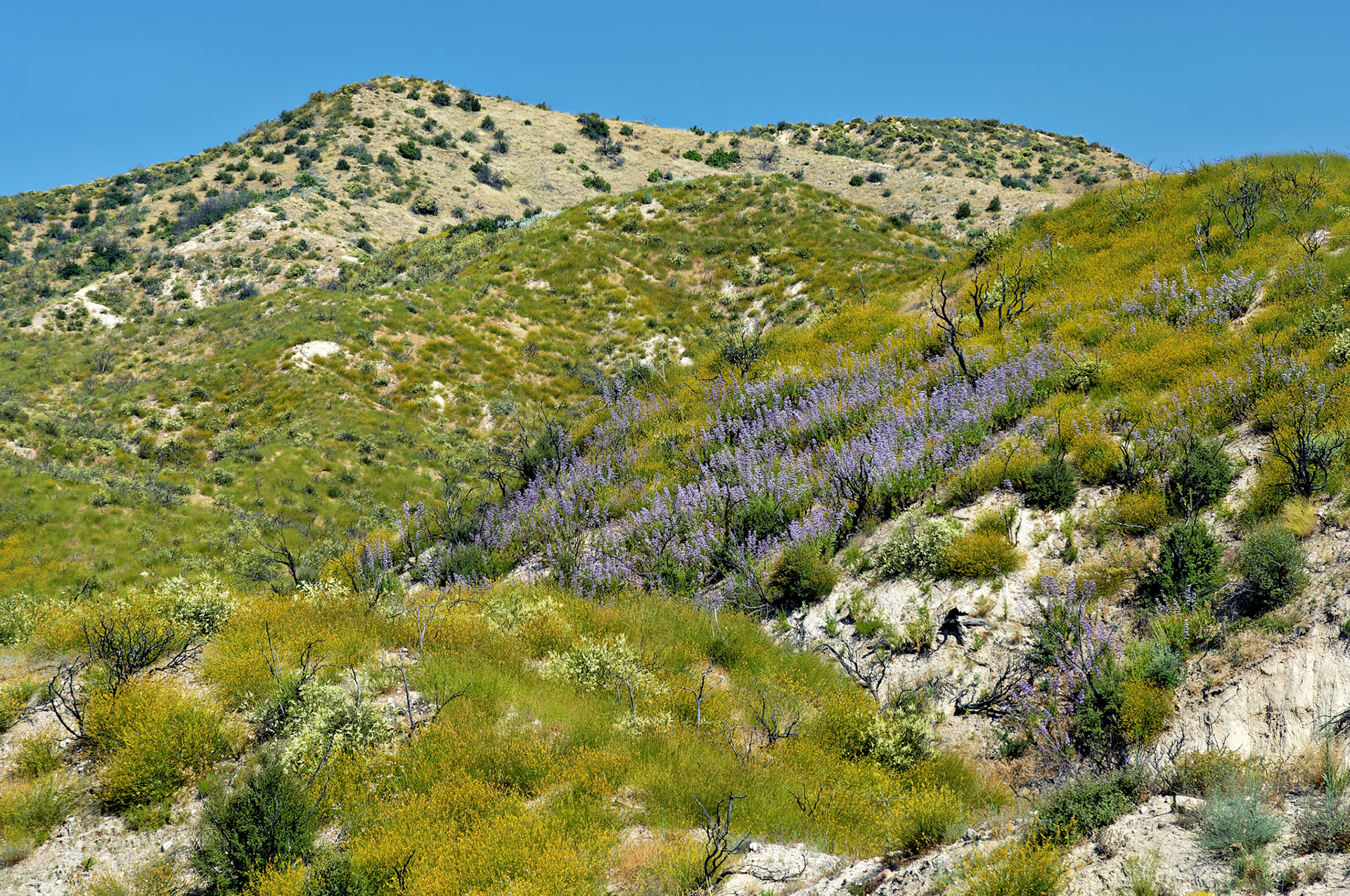 CA_20050613_0033_PS