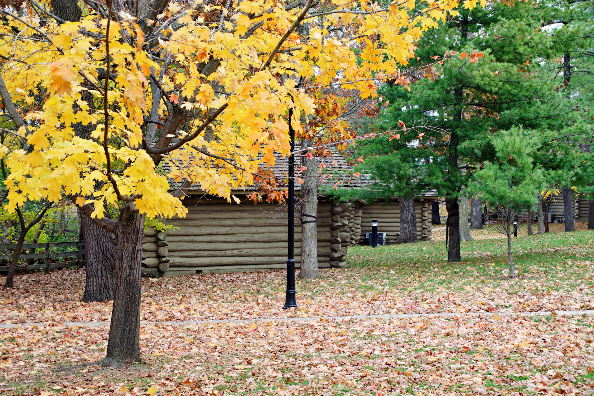 IL_Starved Rock_20141027_0080_PS