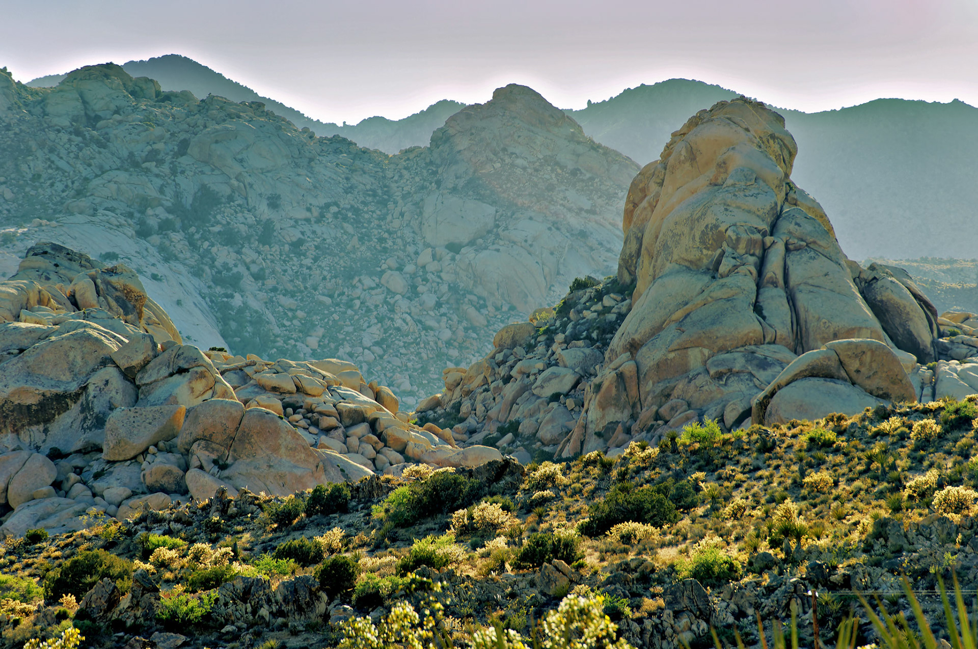 CA_20050614_0193_PS