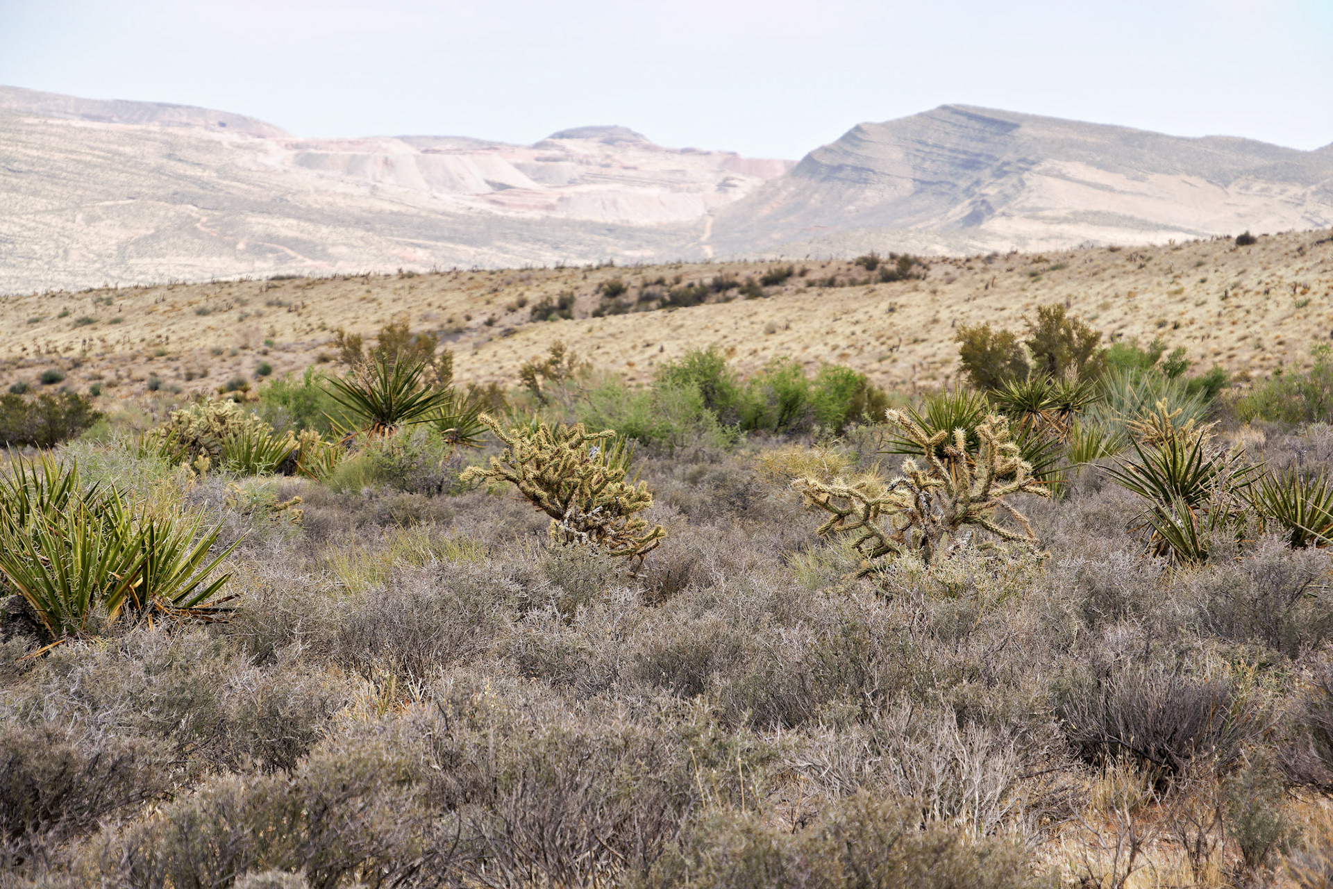 NV_Deserts_20120312_0098_PS.tif