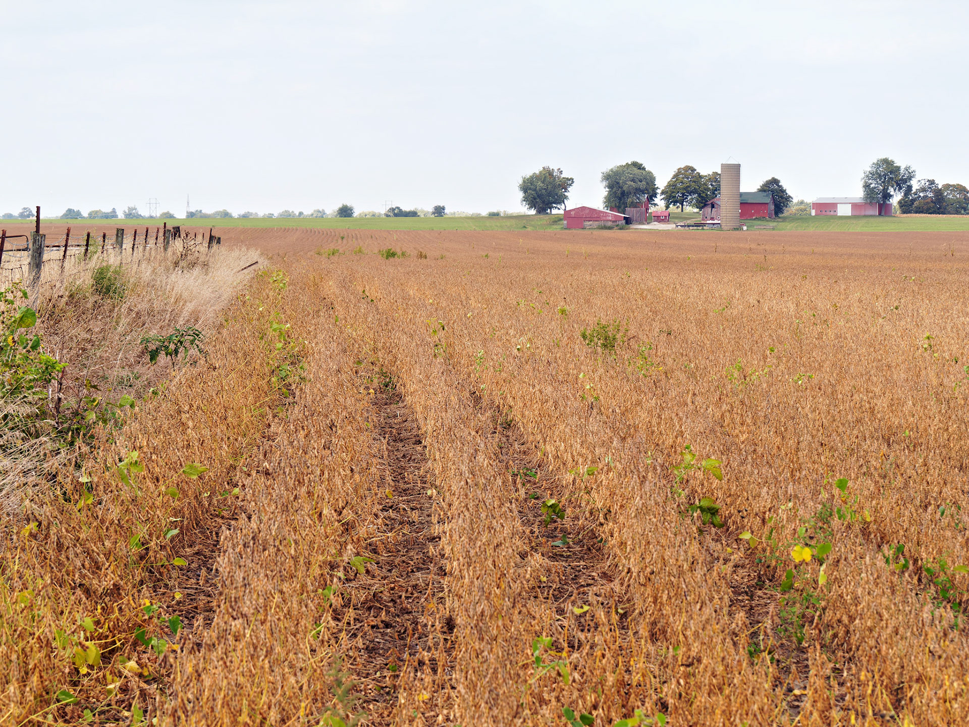 IL_20130928_0401_PS