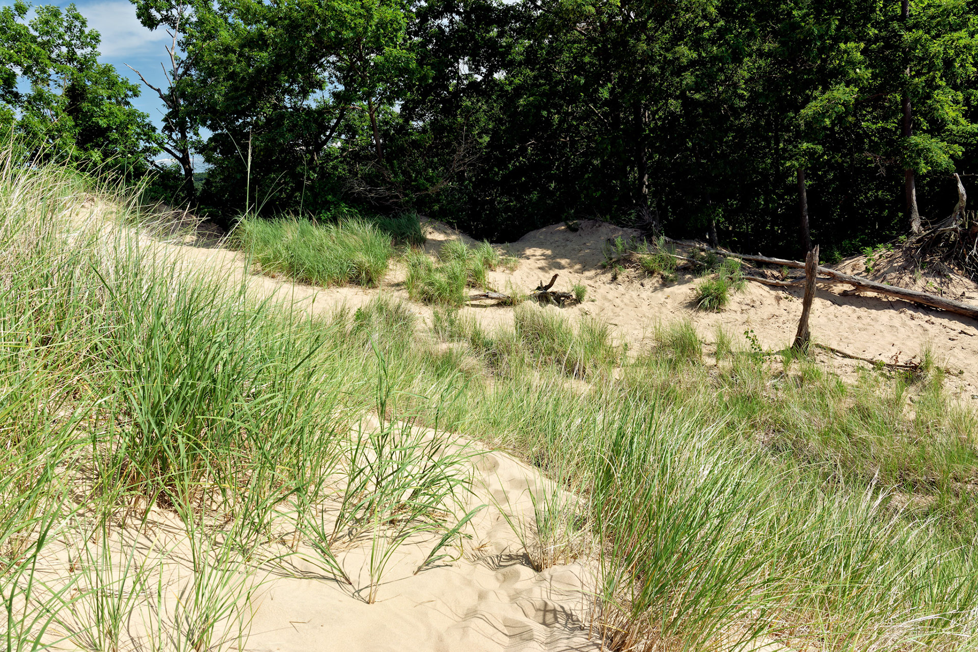 MI_New BuffaloArea_20170715_0236_PS