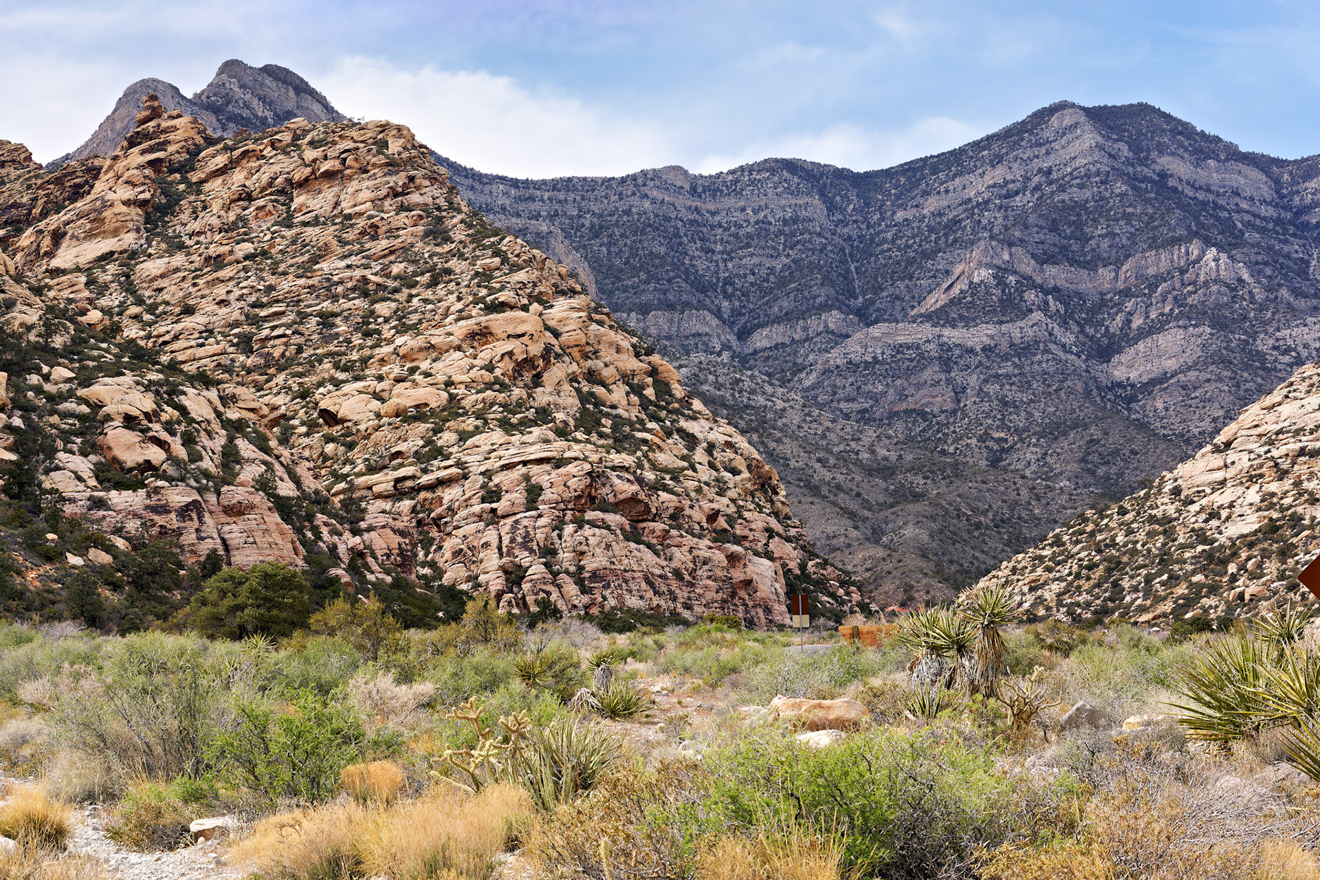 NV_Deserts_20120312_0084_PS.tif