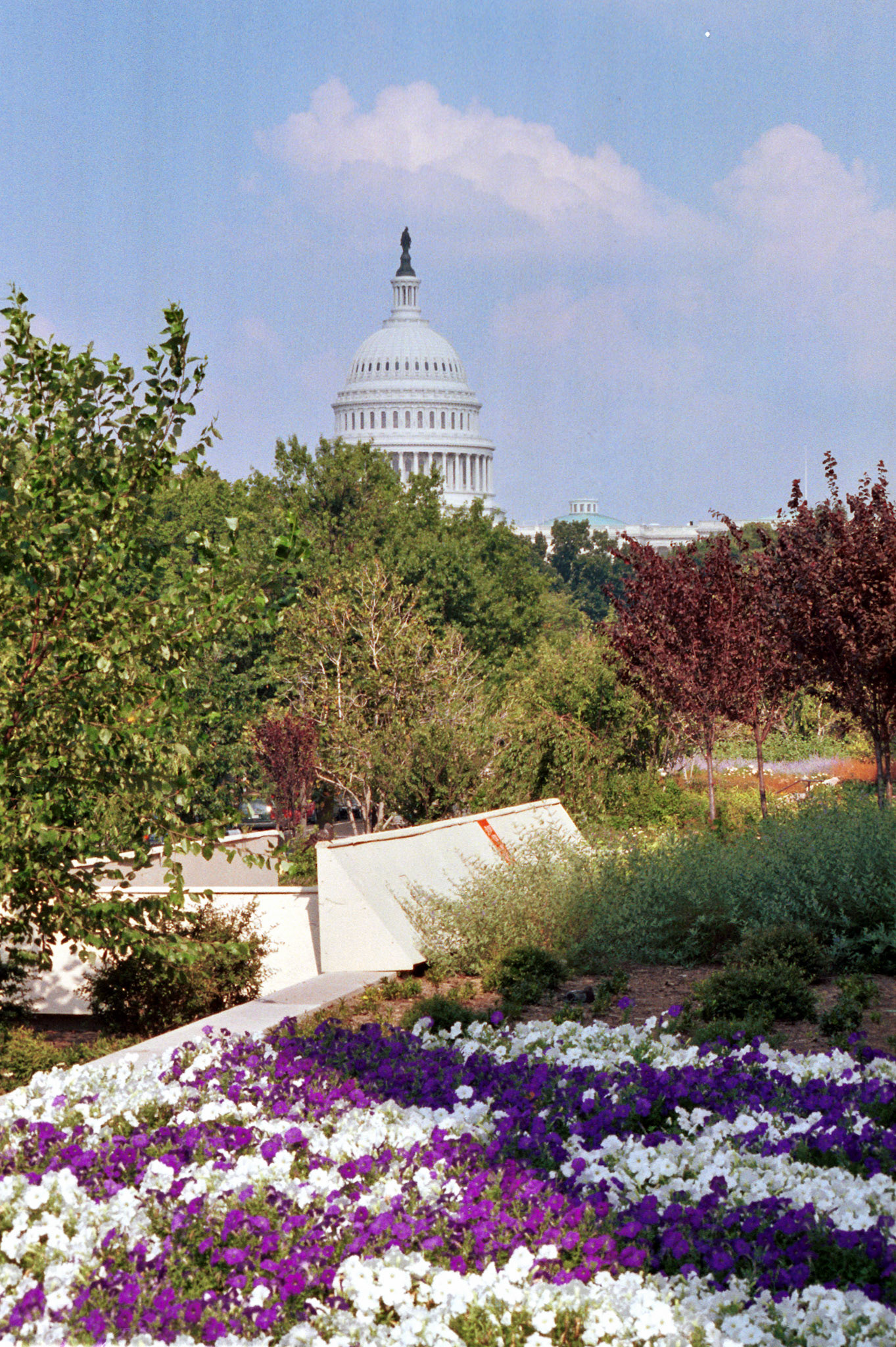 DC_20071031_0100_PS.dng