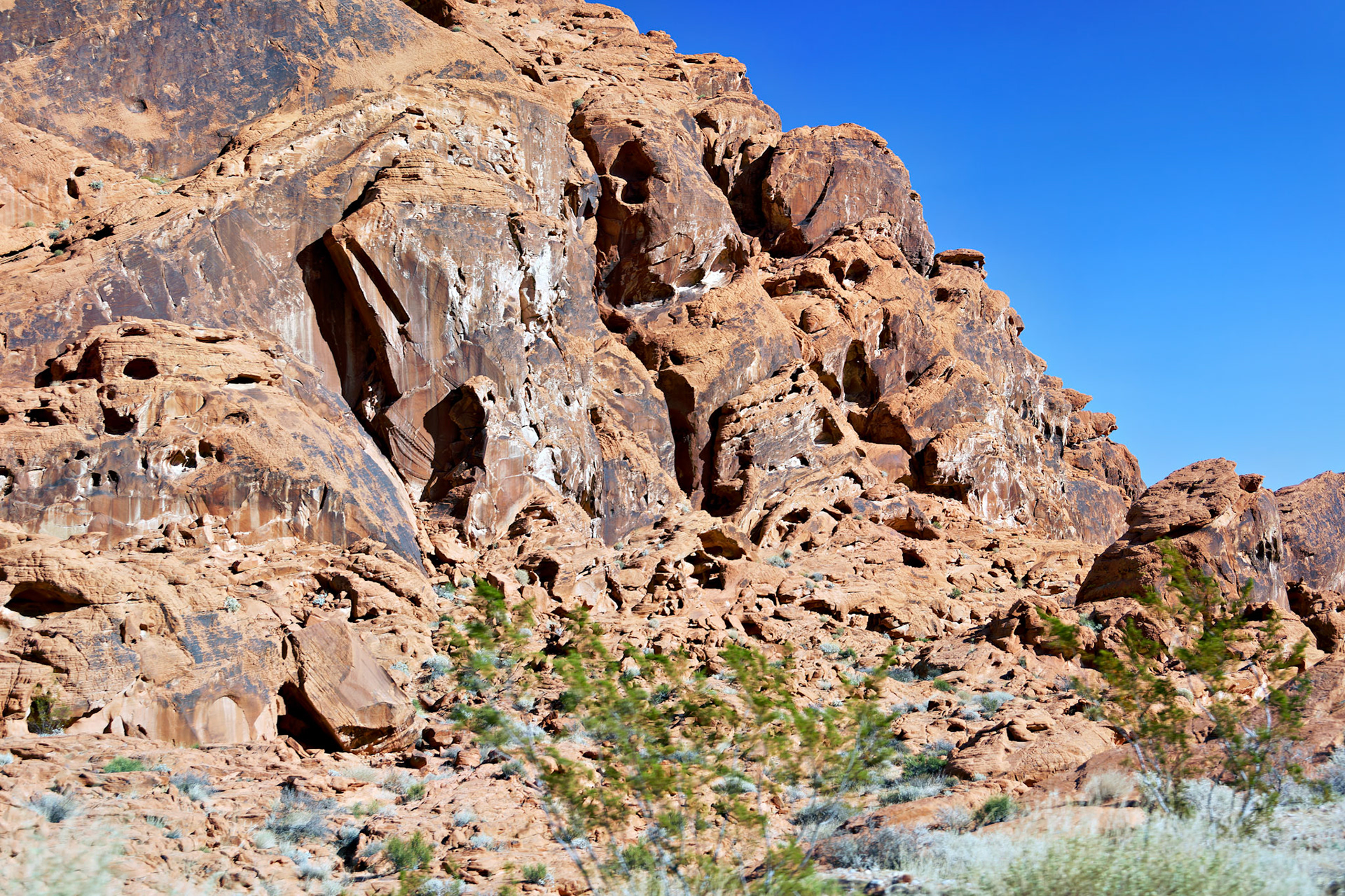 NV_Deserts_20120313_0187_PS.tif
