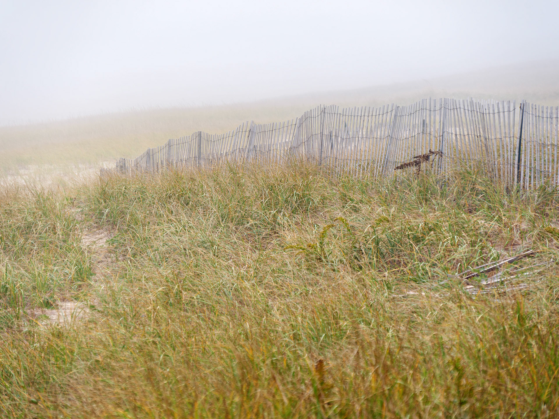 MA_CapeCod_20151029_0323_PS