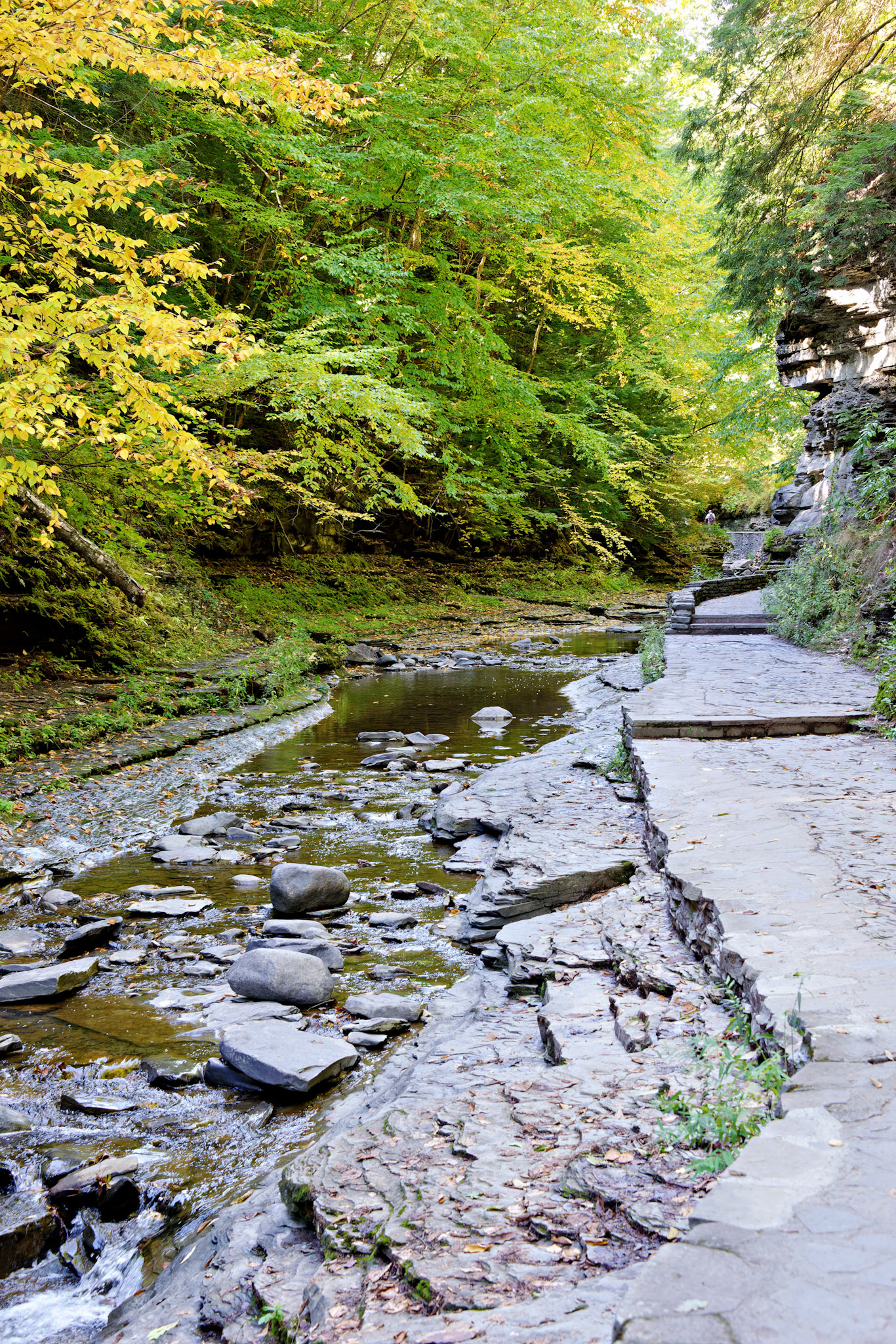 NY_FingerLakes_20120927_0224_PS.tif