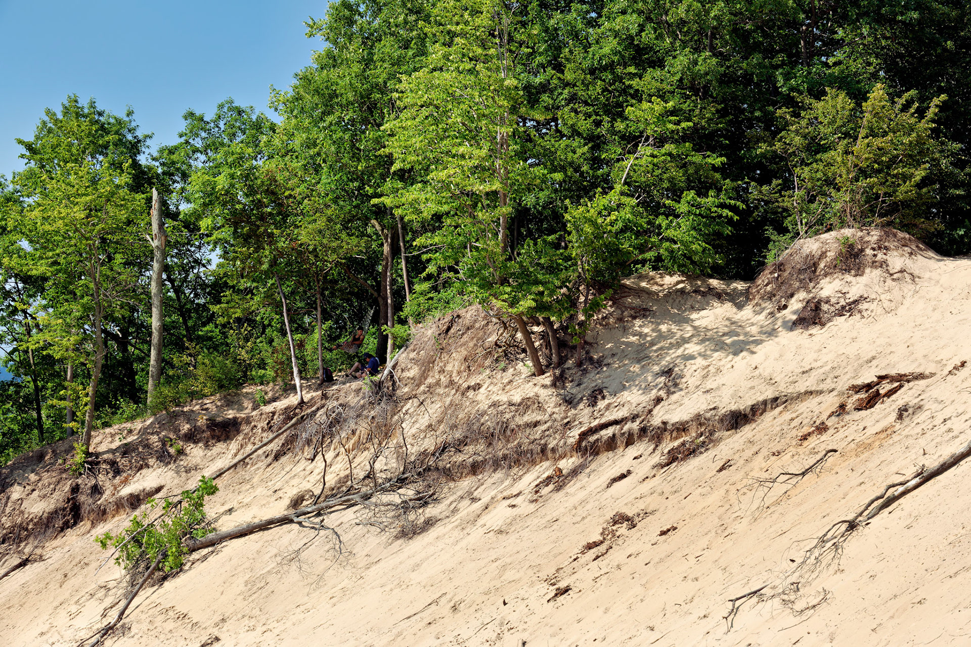 MI_New BuffaloArea_20170715_0239_PS