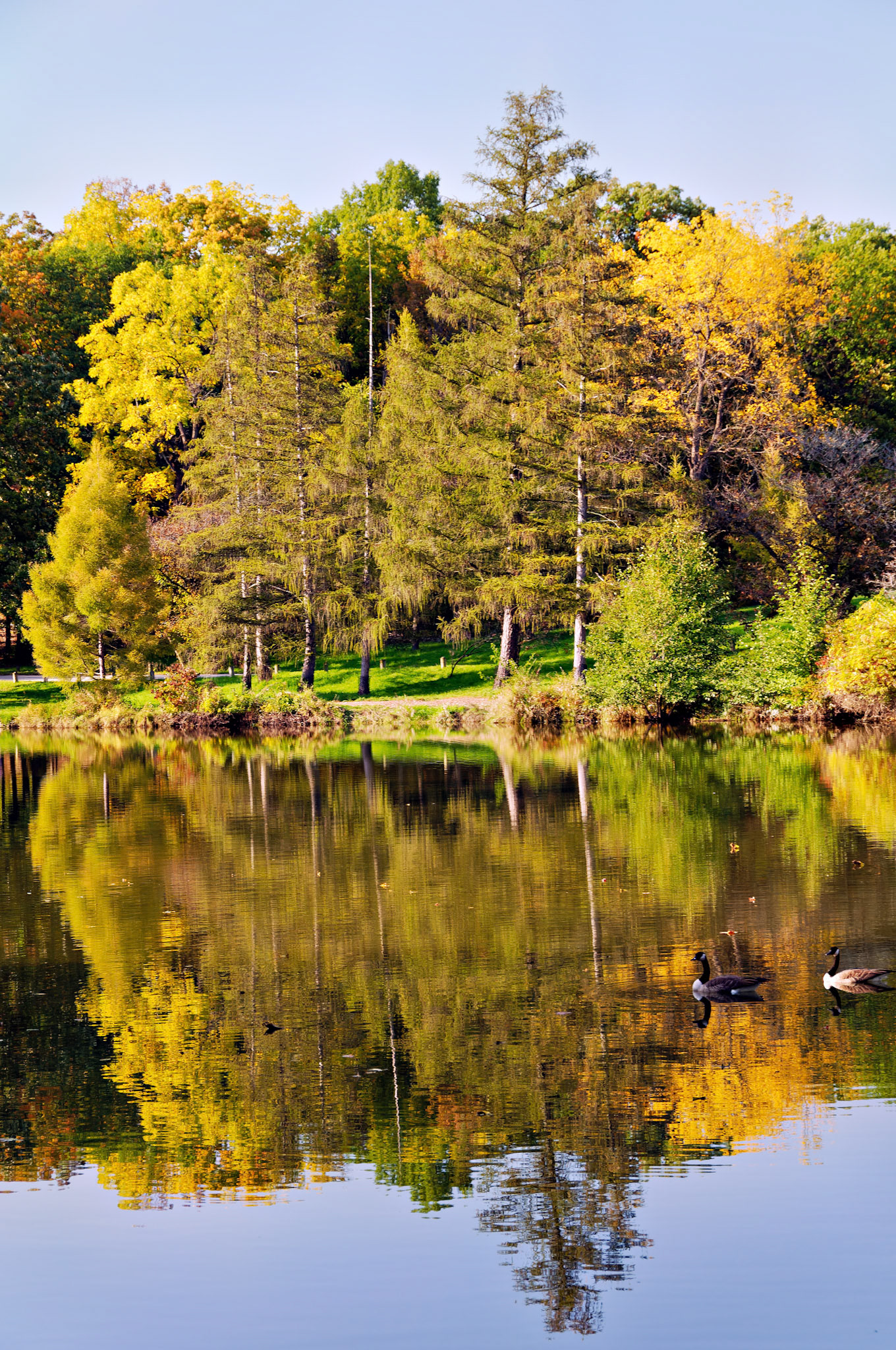 IL_Morton Arboretum_20081011_0319_PS