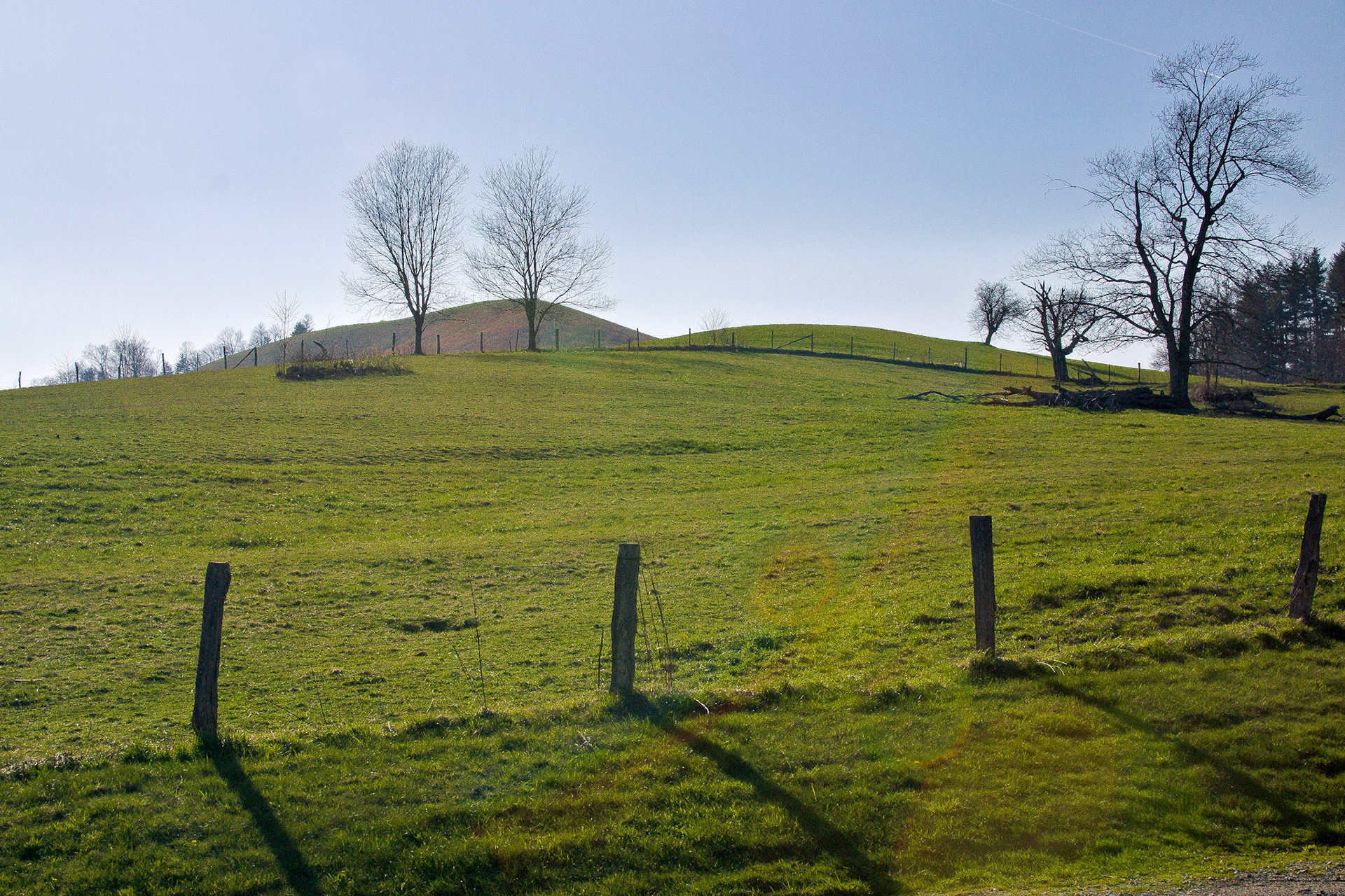 VA_20030412_0021_PS