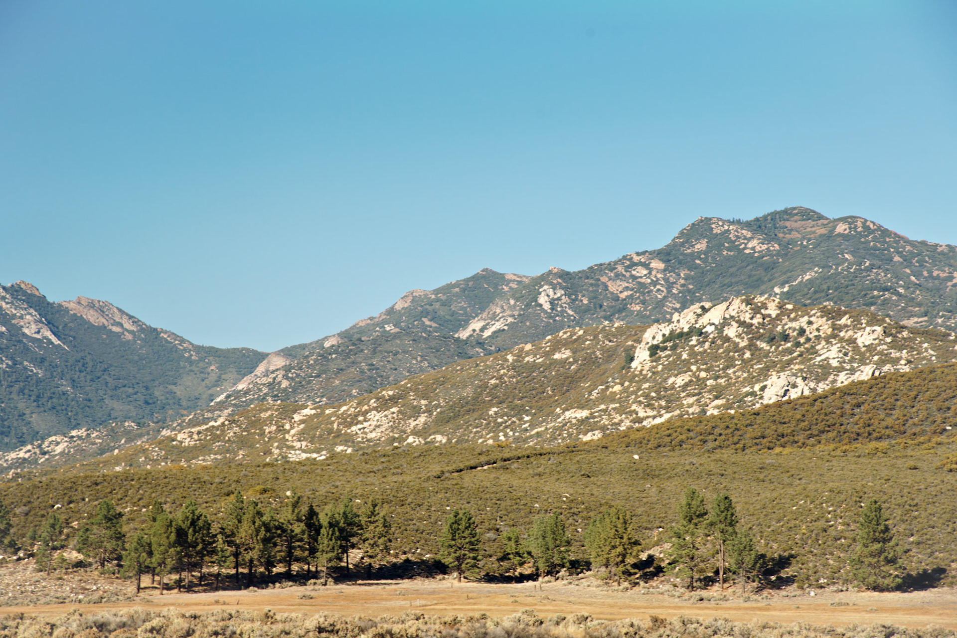 CA_PalmSprings_20111116_0435_PS