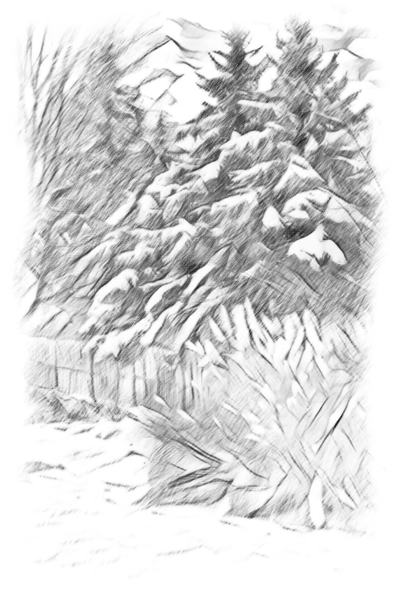 Paintings__FXT2515_Pencil