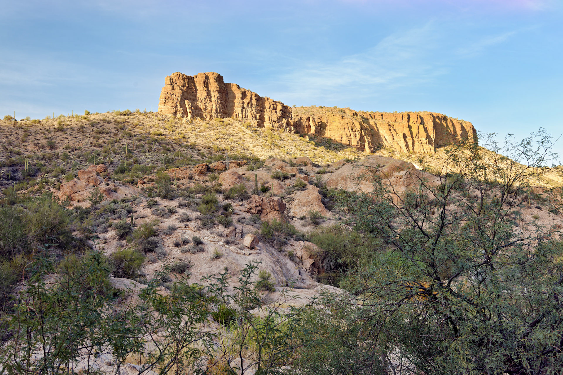 AZ_20121209_0205_PS.dng