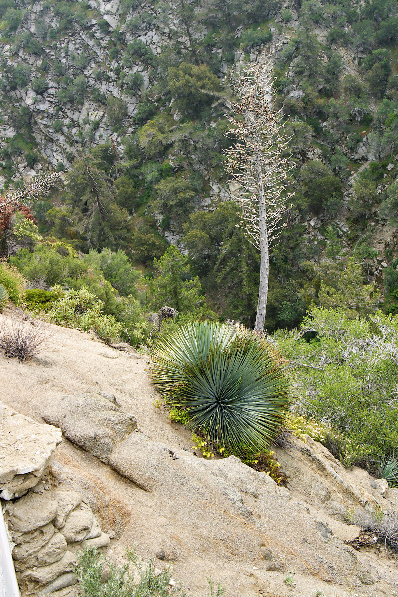 CA_LA_20030514_0053_PS