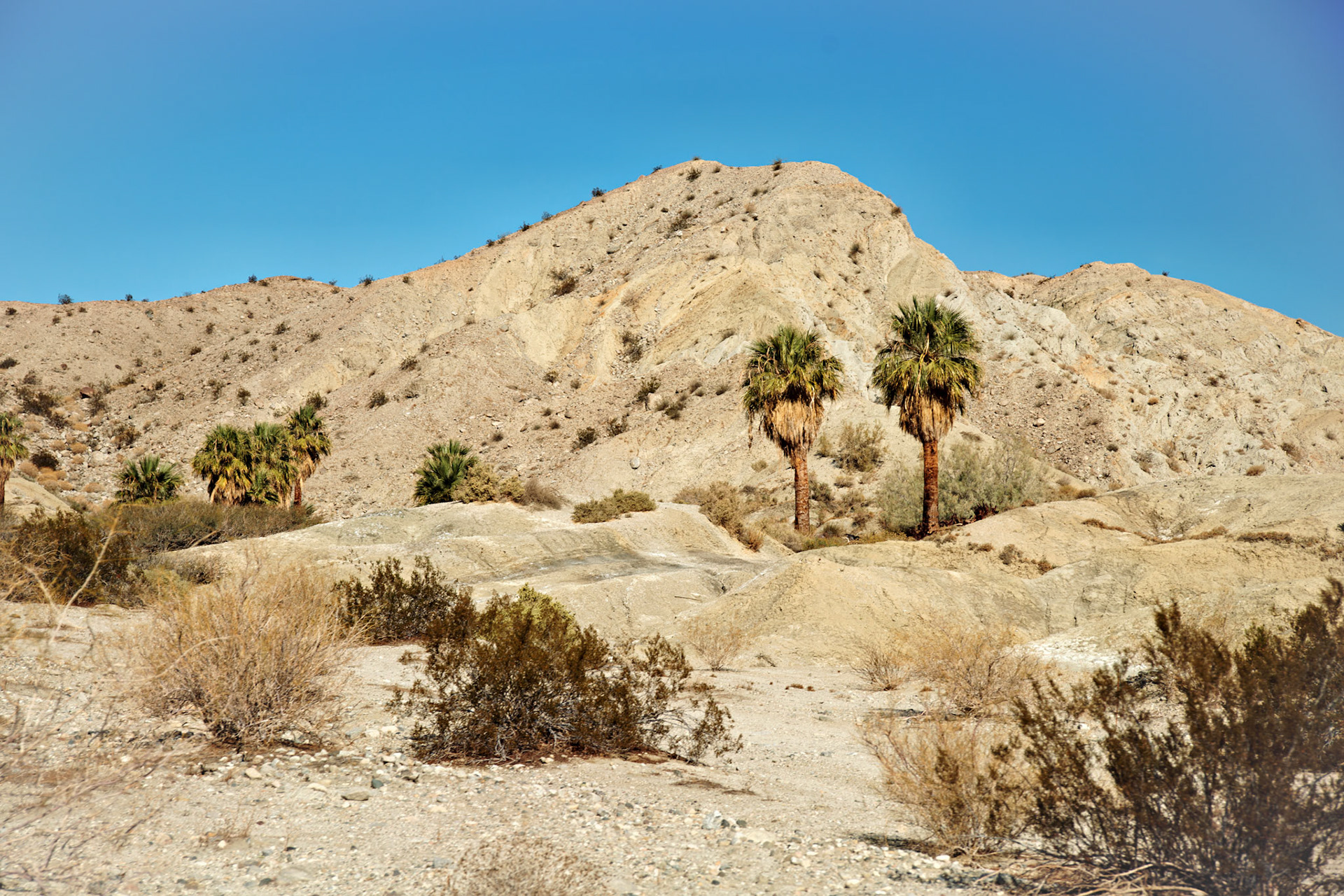 CA_PalmSprings_20111117_0510_PS