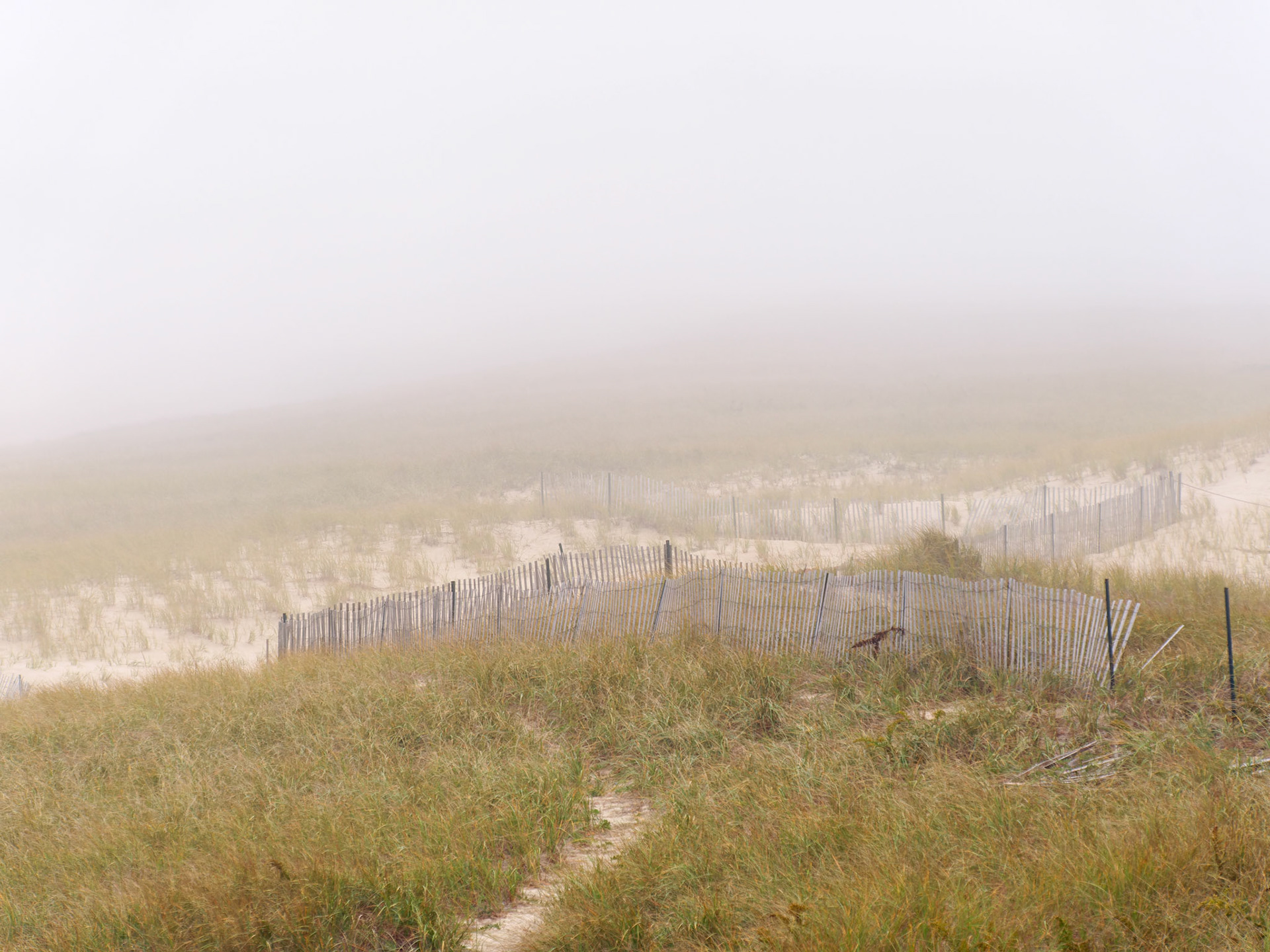 MA_CapeCod_20151029_0318_PS