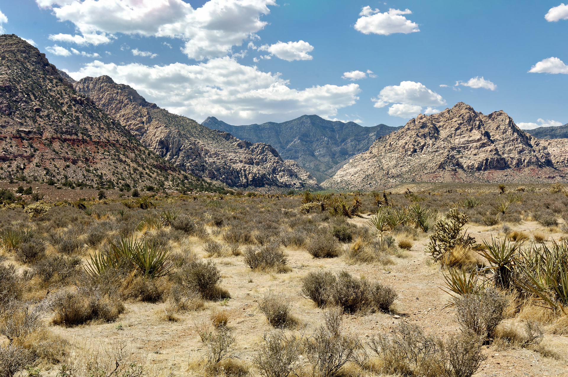 NV_20070531_0155_PS
