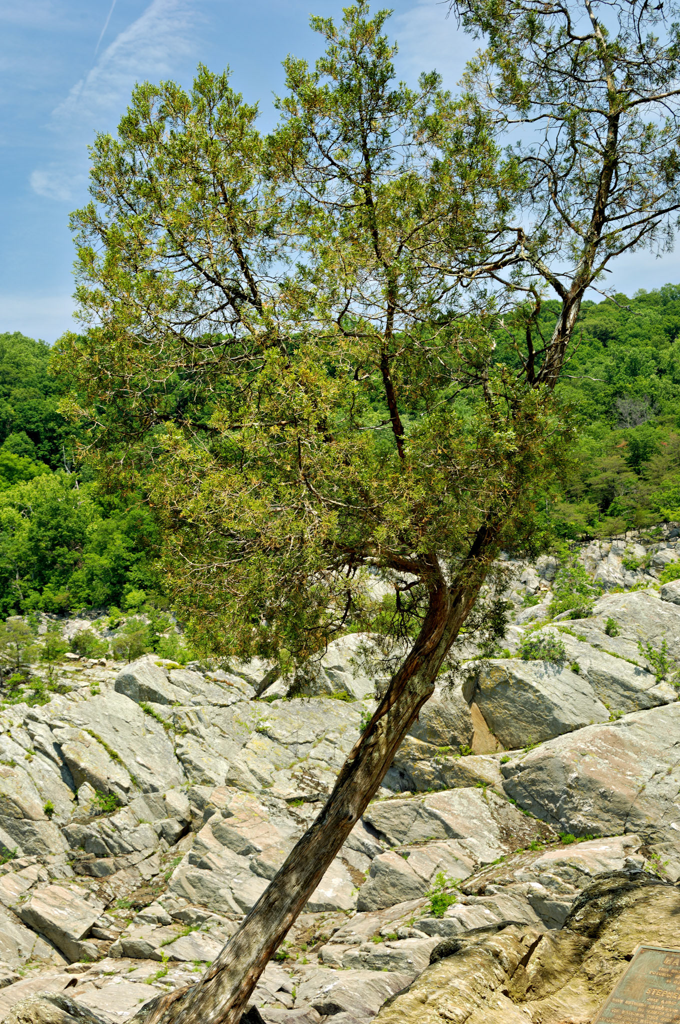 VA_GreatFalls_20070607_0049_PS.tif