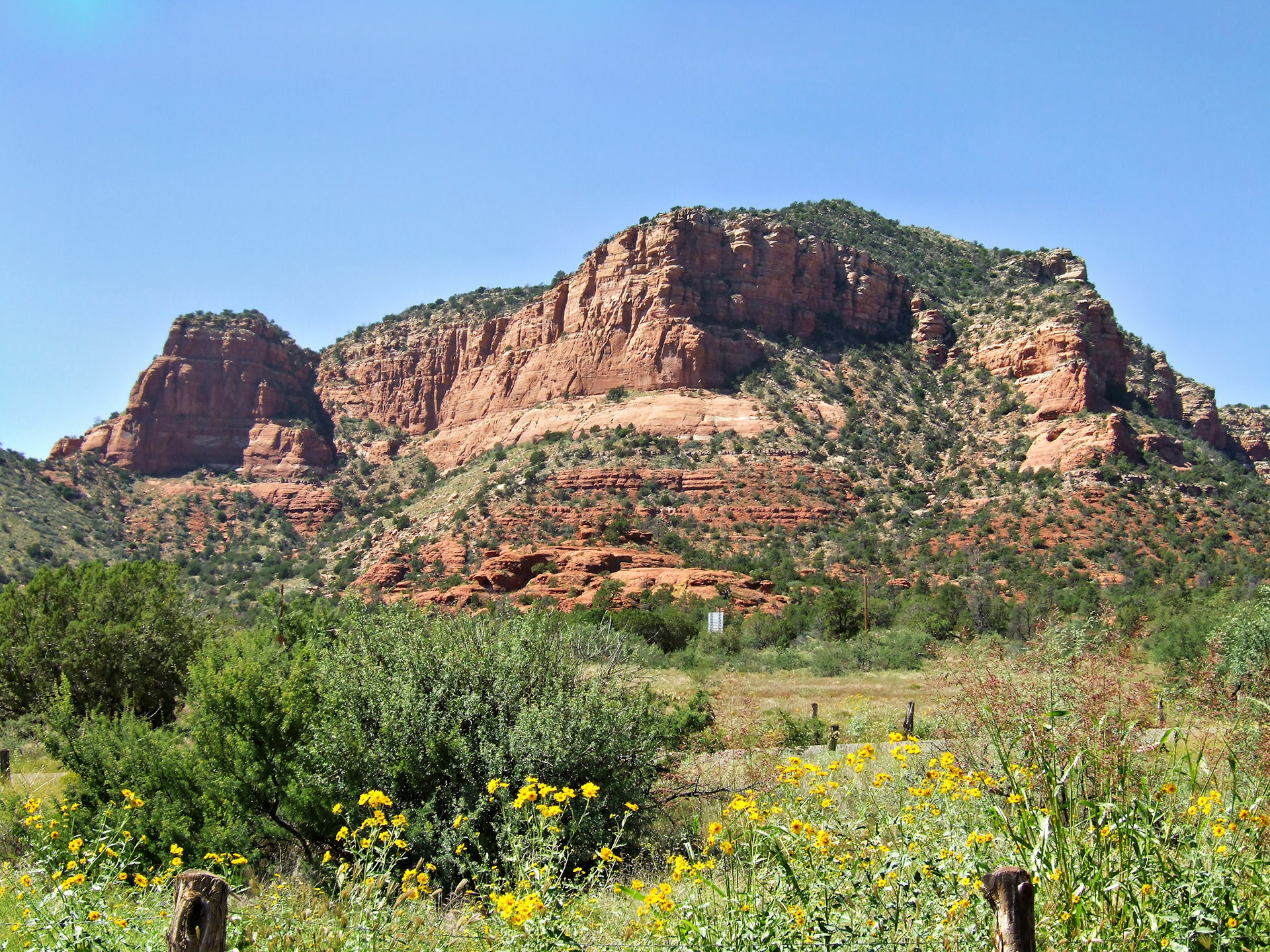 AZ_20060917_0777_PS.dng