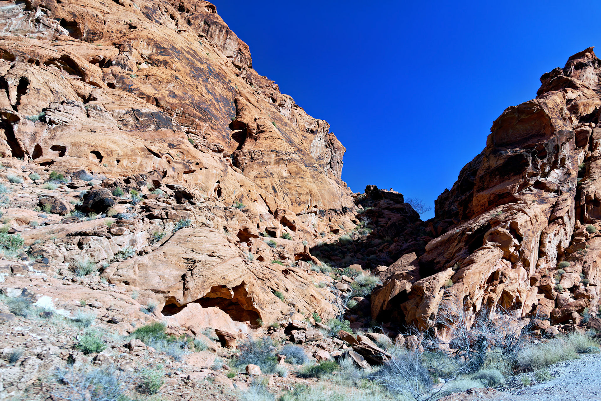 NV_Deserts_20120313_0199_PS.tif