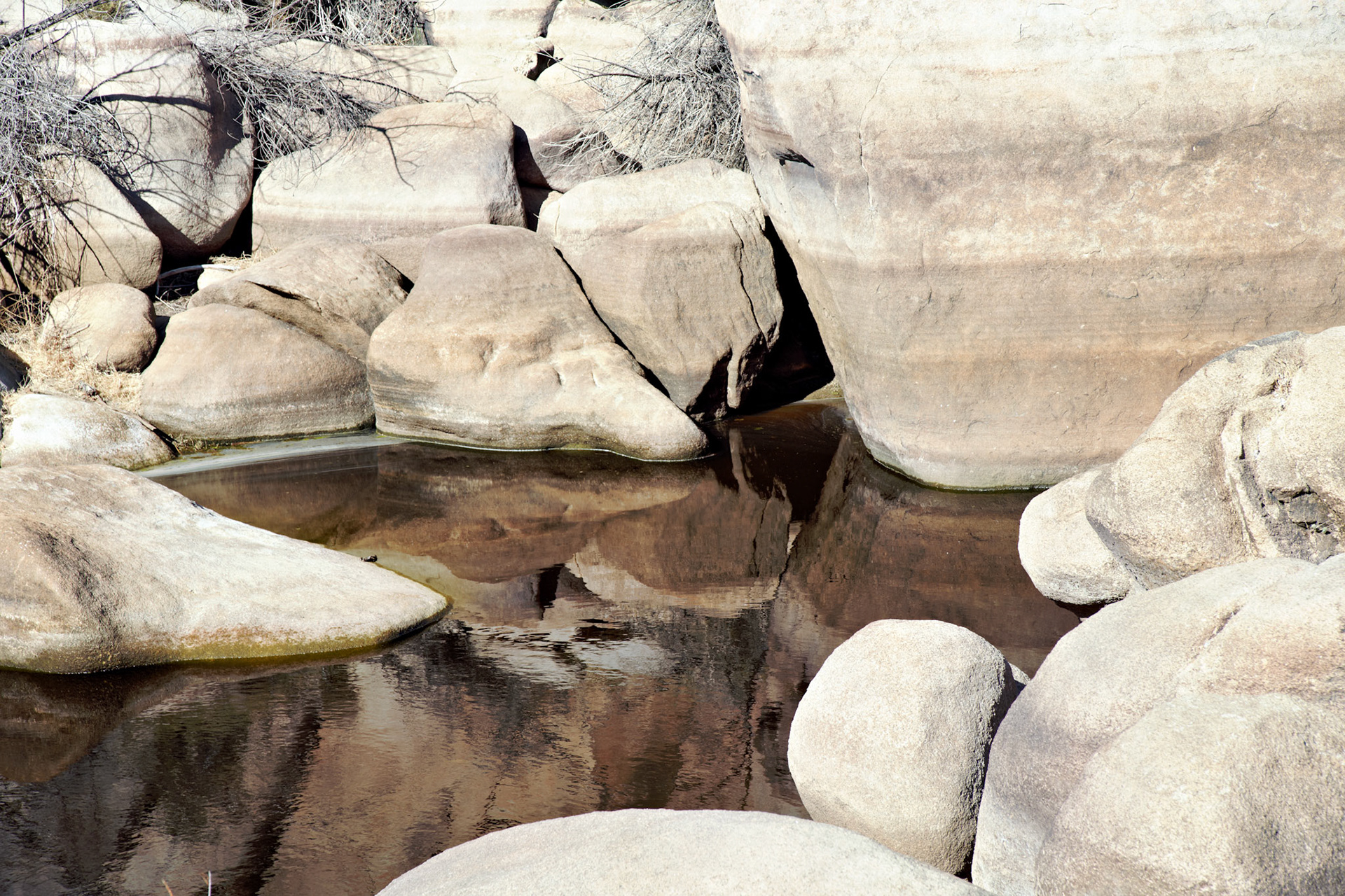 CA_PalmSprings_20090115_0236_PS