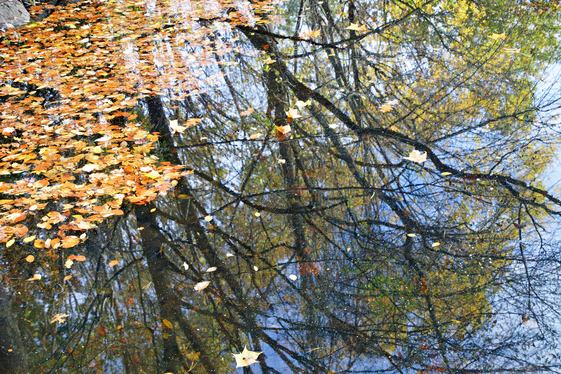 CT_20141019_0480_PS