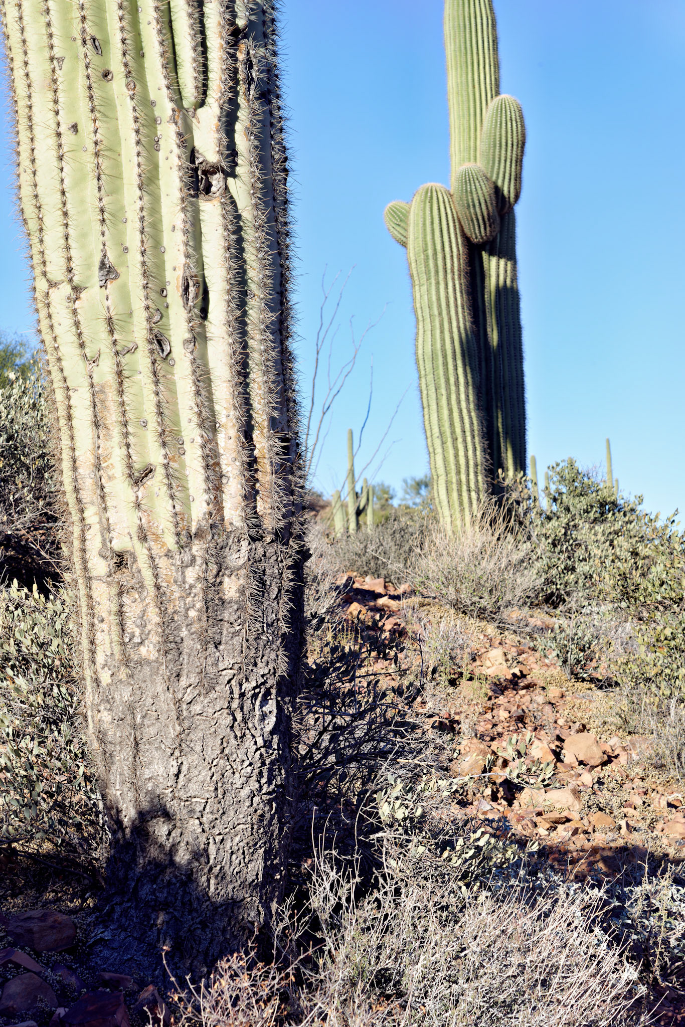 AZ_20121210_0441_PS
