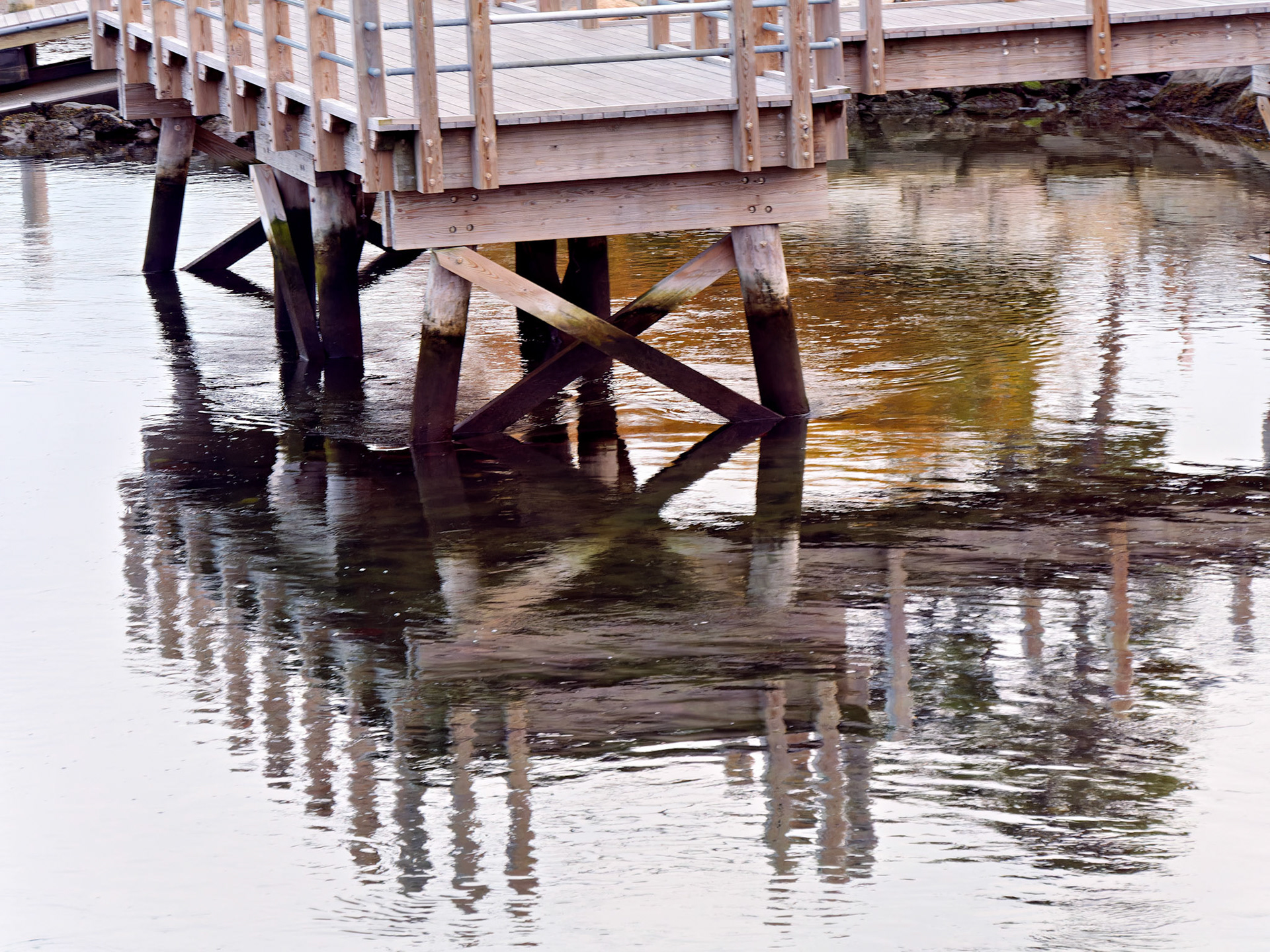 MA_CapeCod_20151027_0289_PS